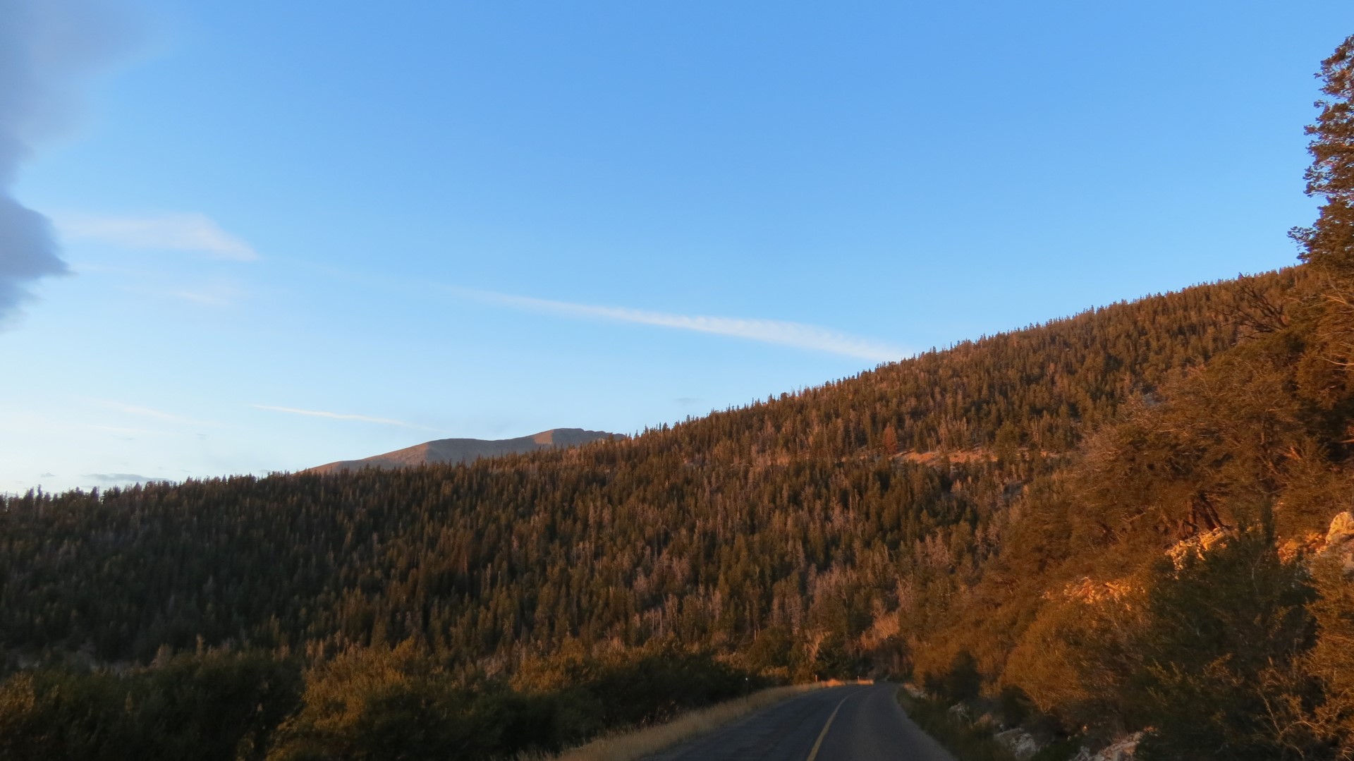 Scenery within Great Basin National Park in Nevada 33 of 92 (#0516)