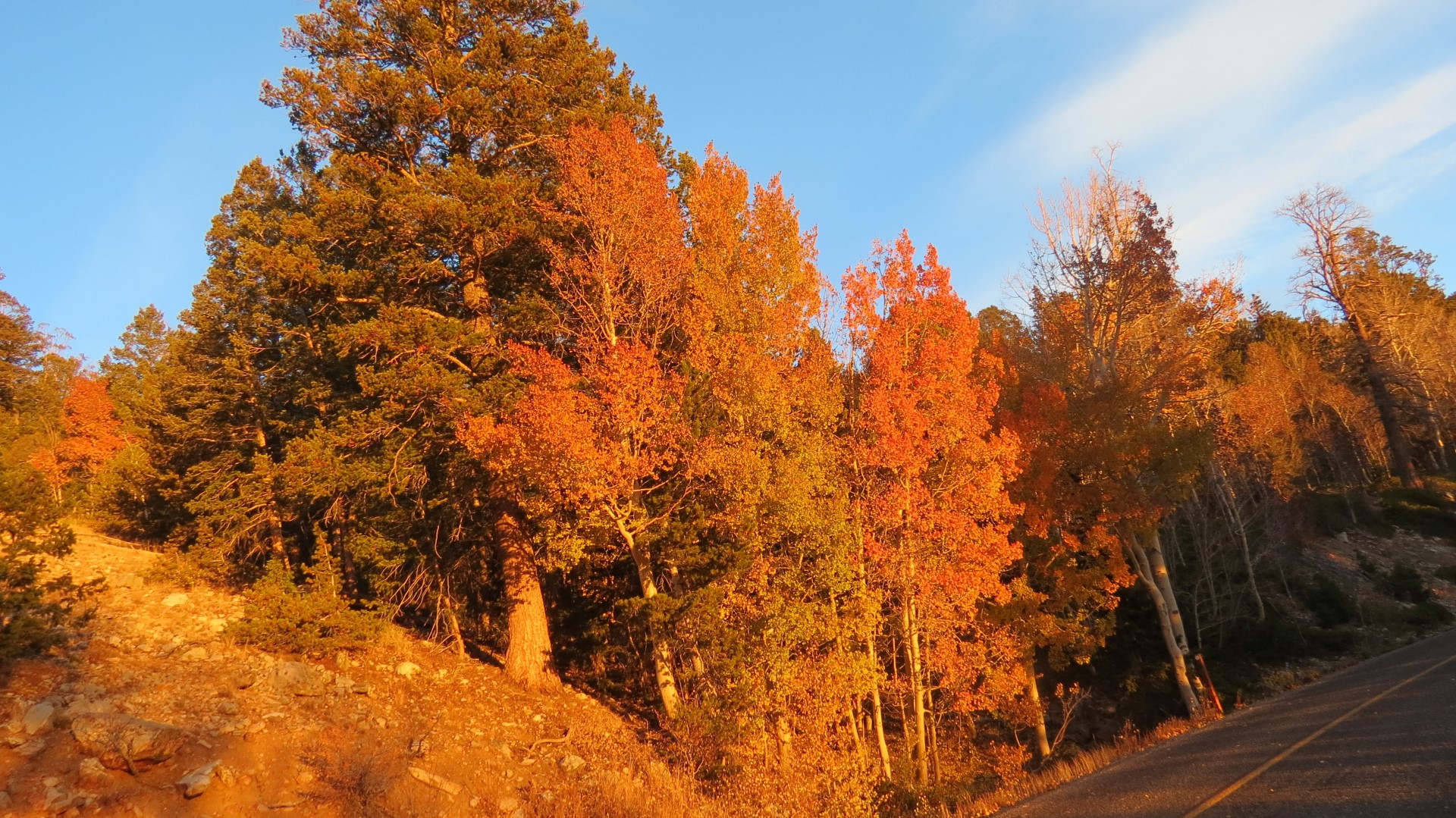 Scenery within Great Basin National Park in Nevada 37 of 92 (#0521)