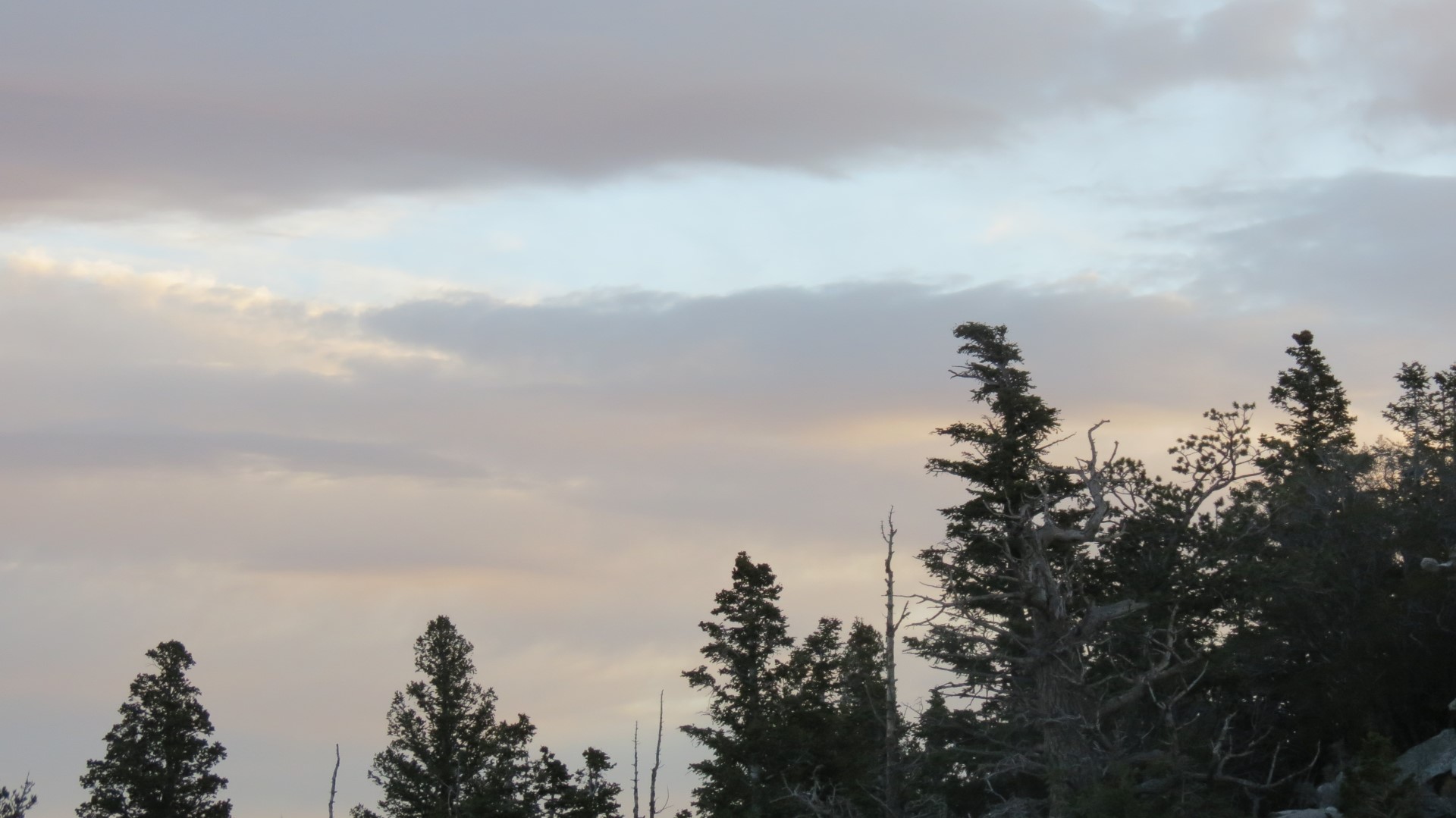 Scenery within Great Basin National Park in Nevada 46 of 92 (#0531)