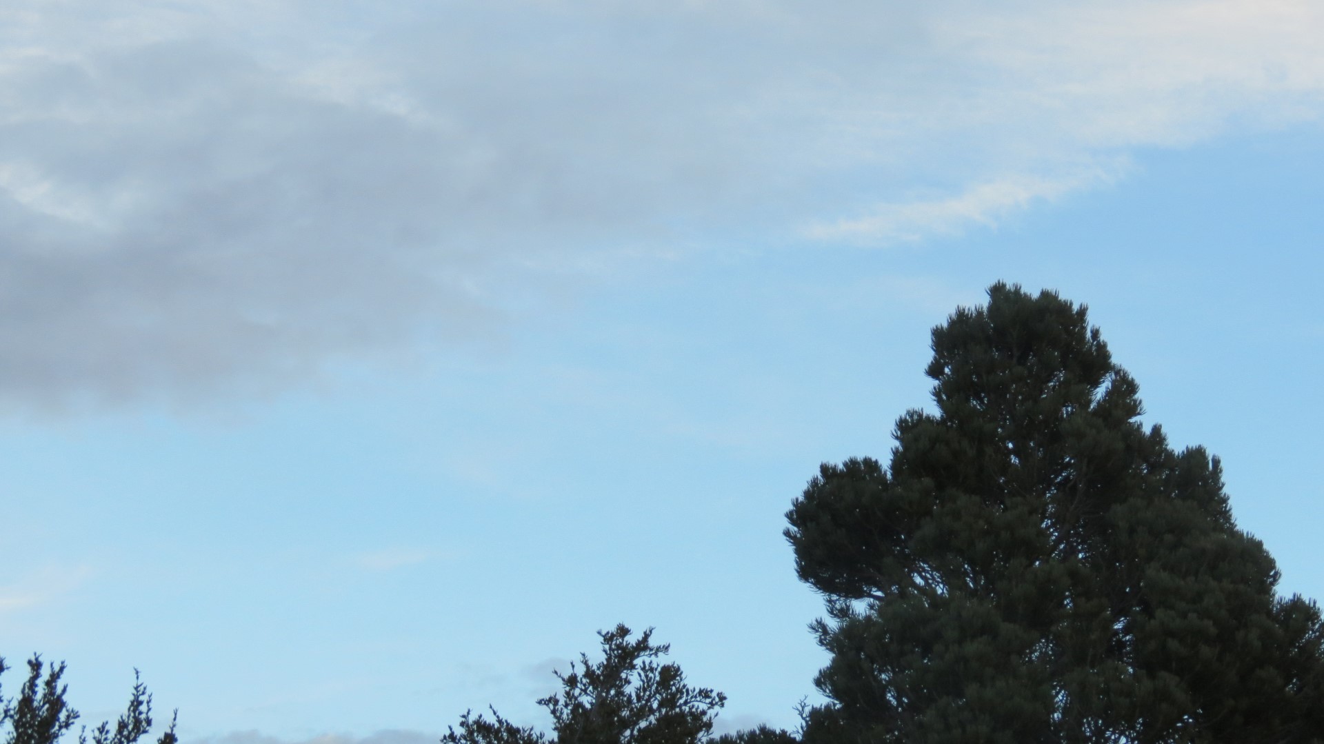 Scenery within Great Basin National Park in Nevada 48 of 92 (#0533)