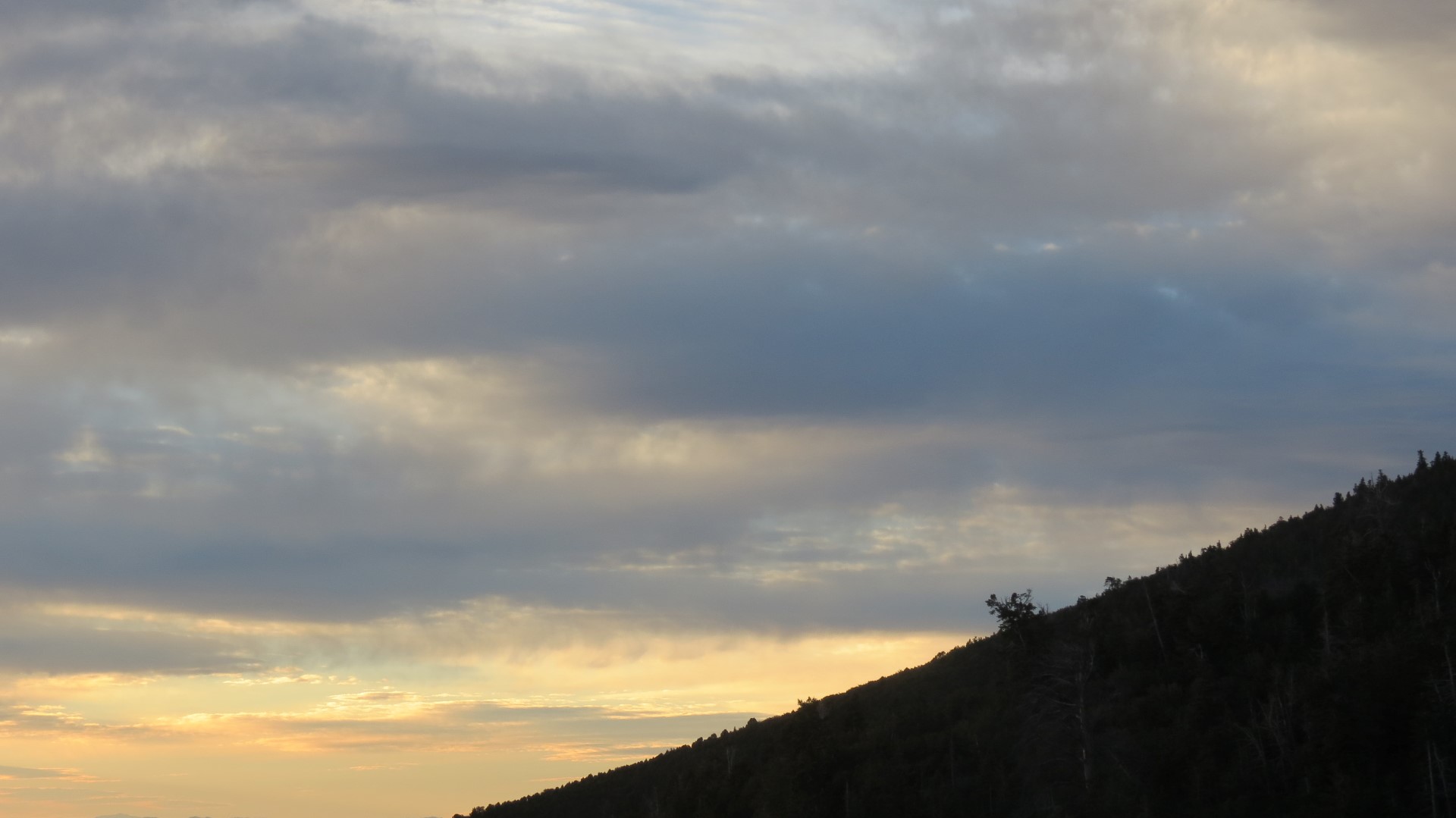 Scenery within Great Basin National Park in Nevada 59 of 92 (#0549)