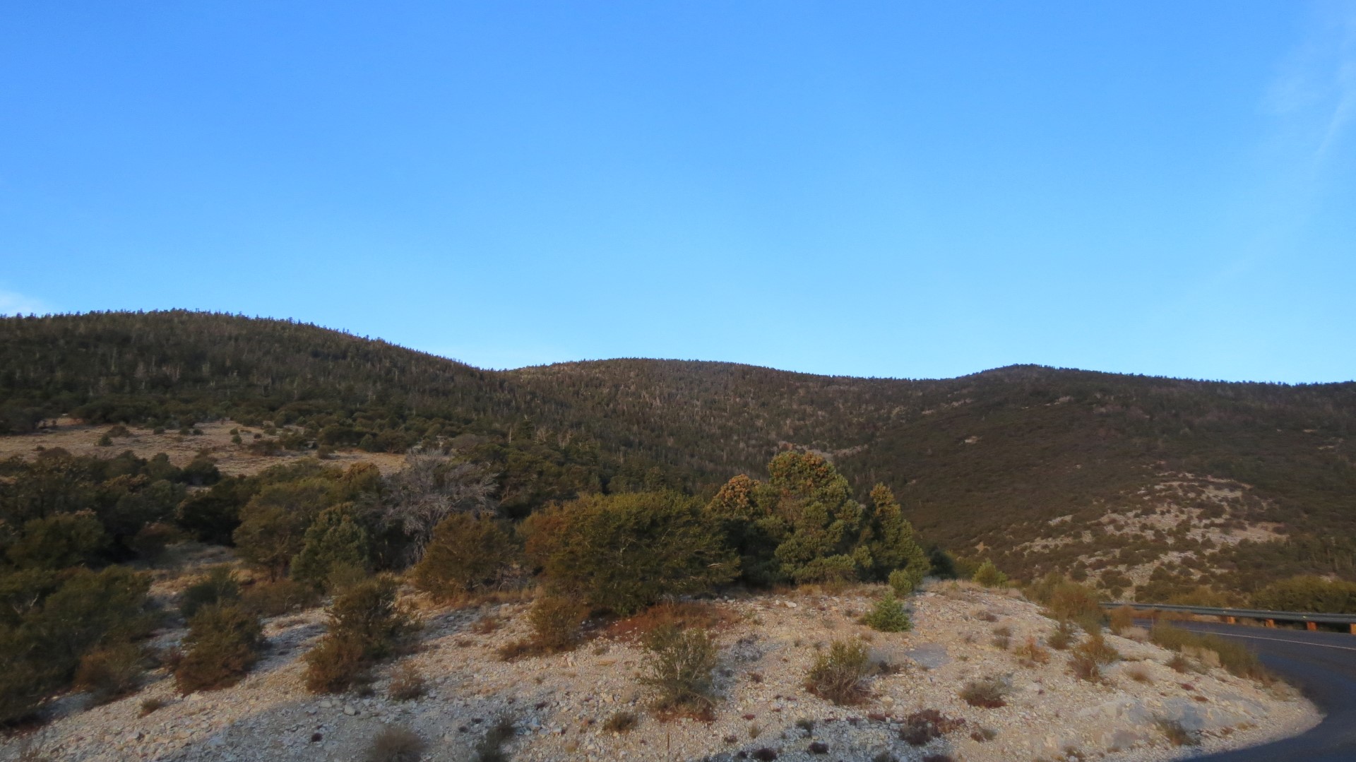 Scenery within Great Basin National Park in Nevada 60 of 92 (#0550)