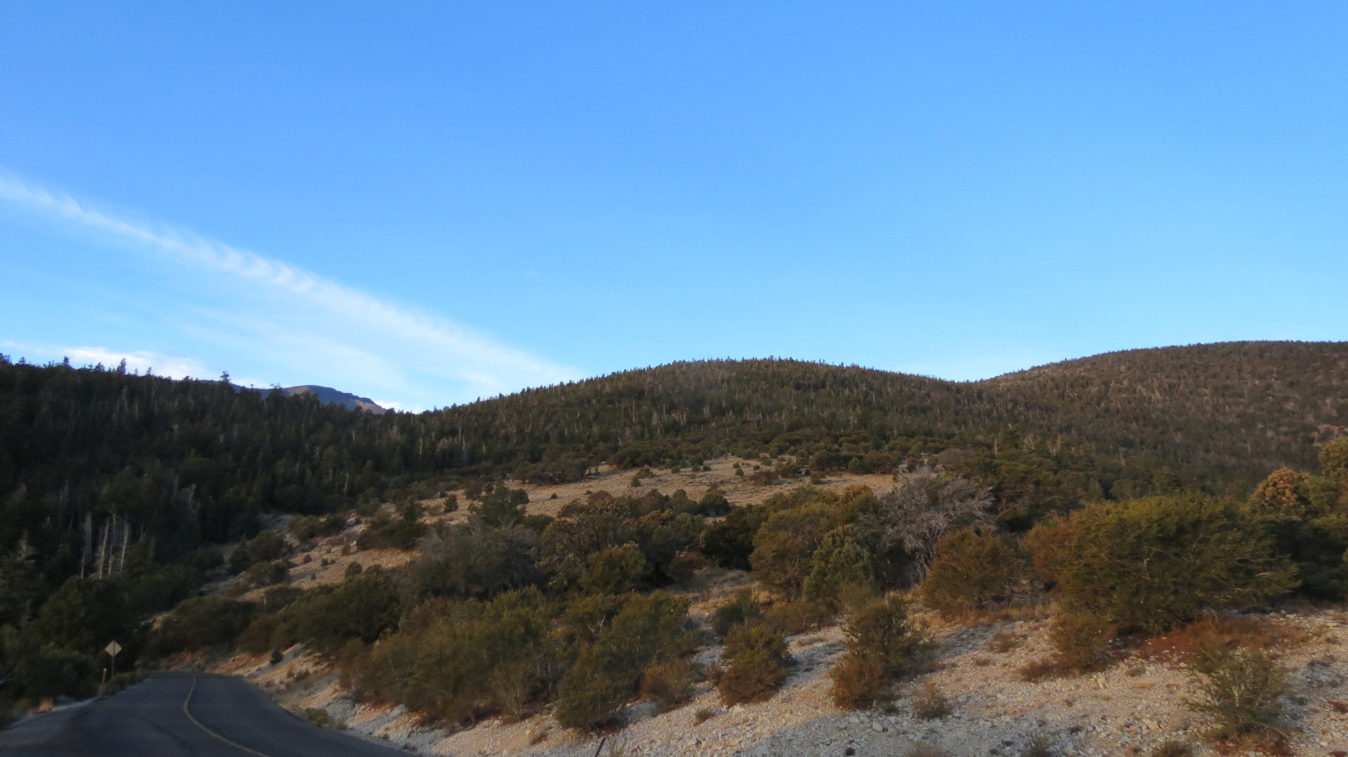 Scenery within Great Basin National Park in Nevada 61 of 92 (#0551)