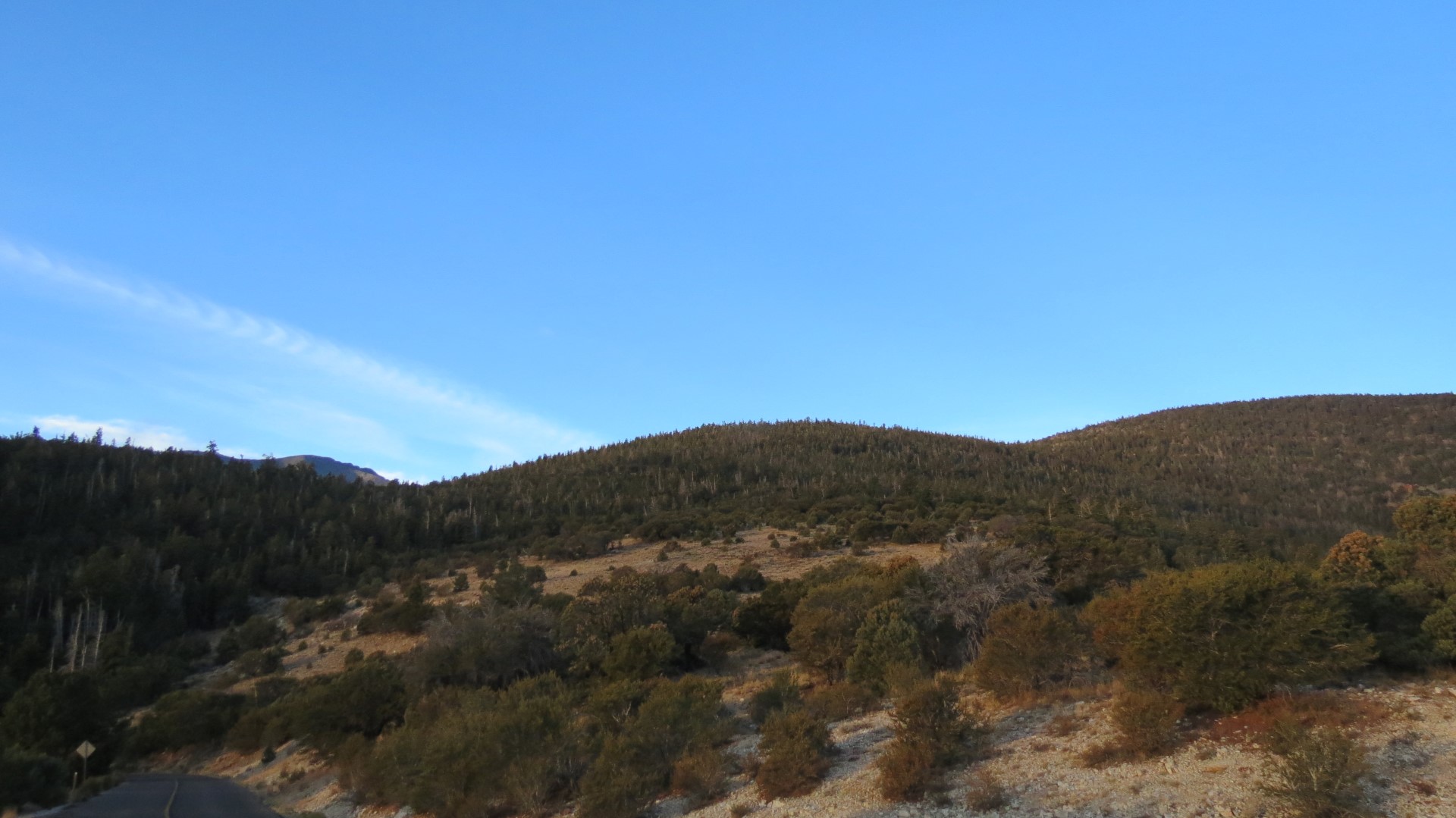 Scenery within Great Basin National Park in Nevada 62 of 92 (#0552)