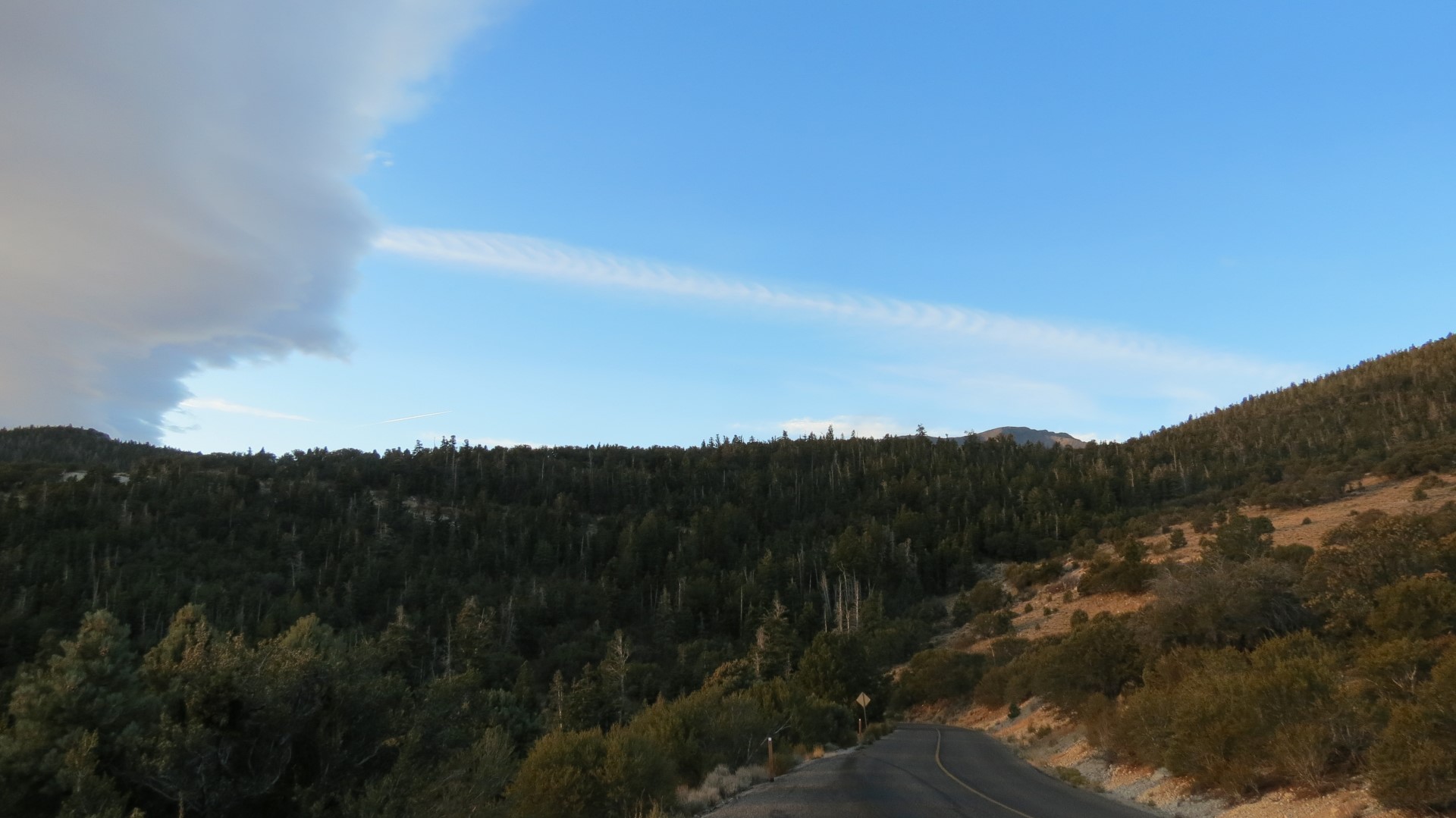 Scenery within Great Basin National Park in Nevada 63 of 92 (#0553)