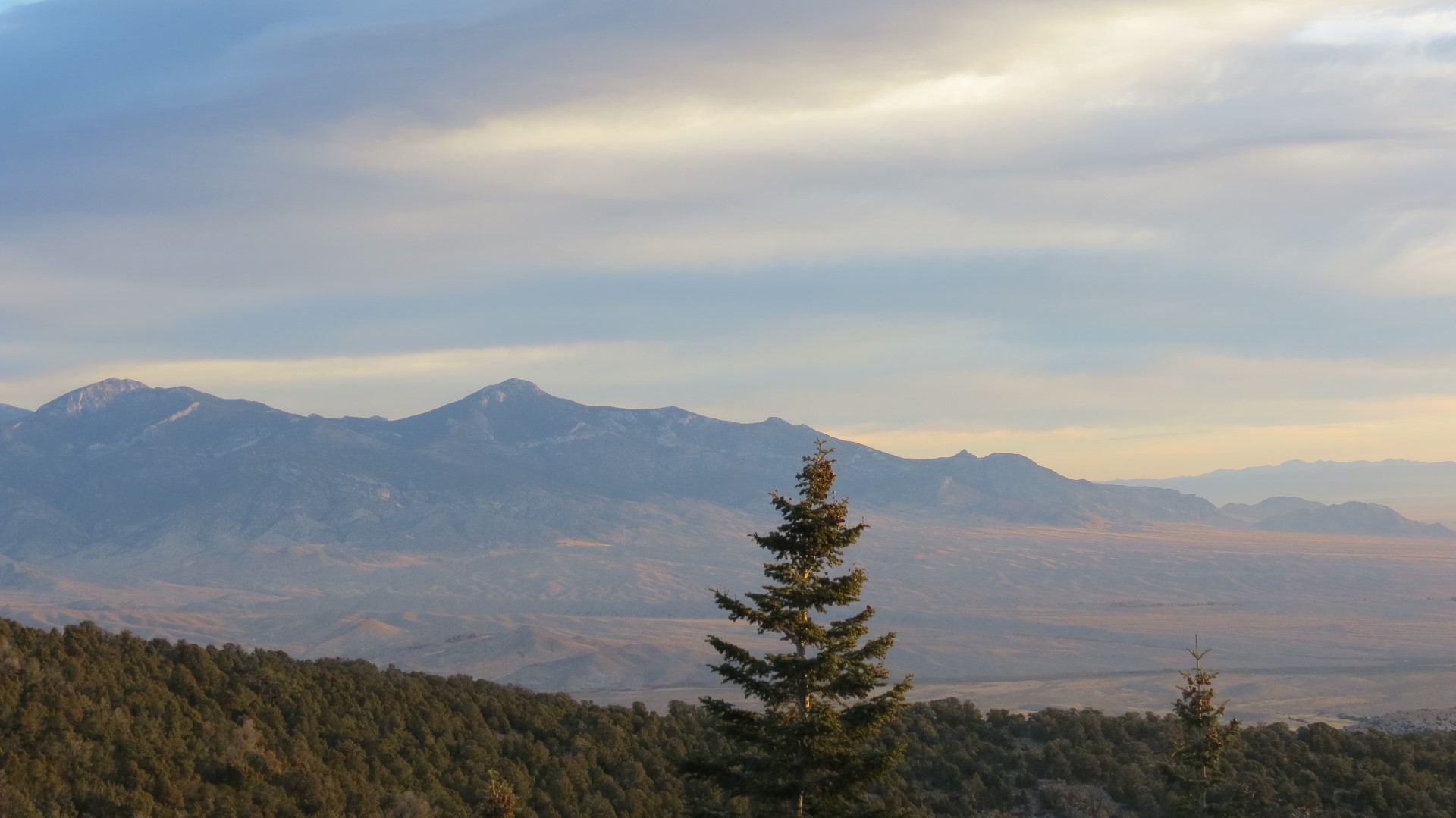 Scenery within Great Basin National Park in Nevada 71 of 92 (#0561)