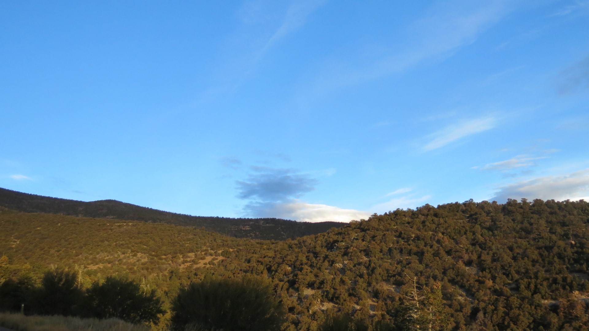 Scenery within Great Basin National Park in Nevada 73 of 92 (#0563)