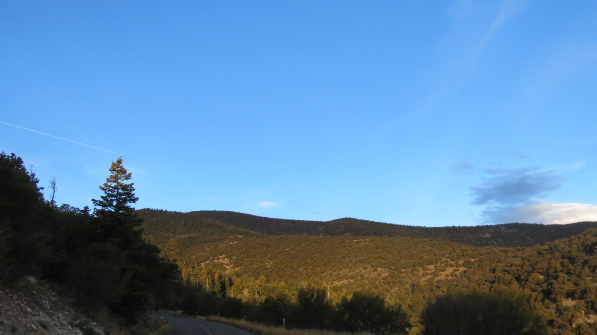 Scenery within Great Basin National Park in Nevada 74 of 92 (#0564)