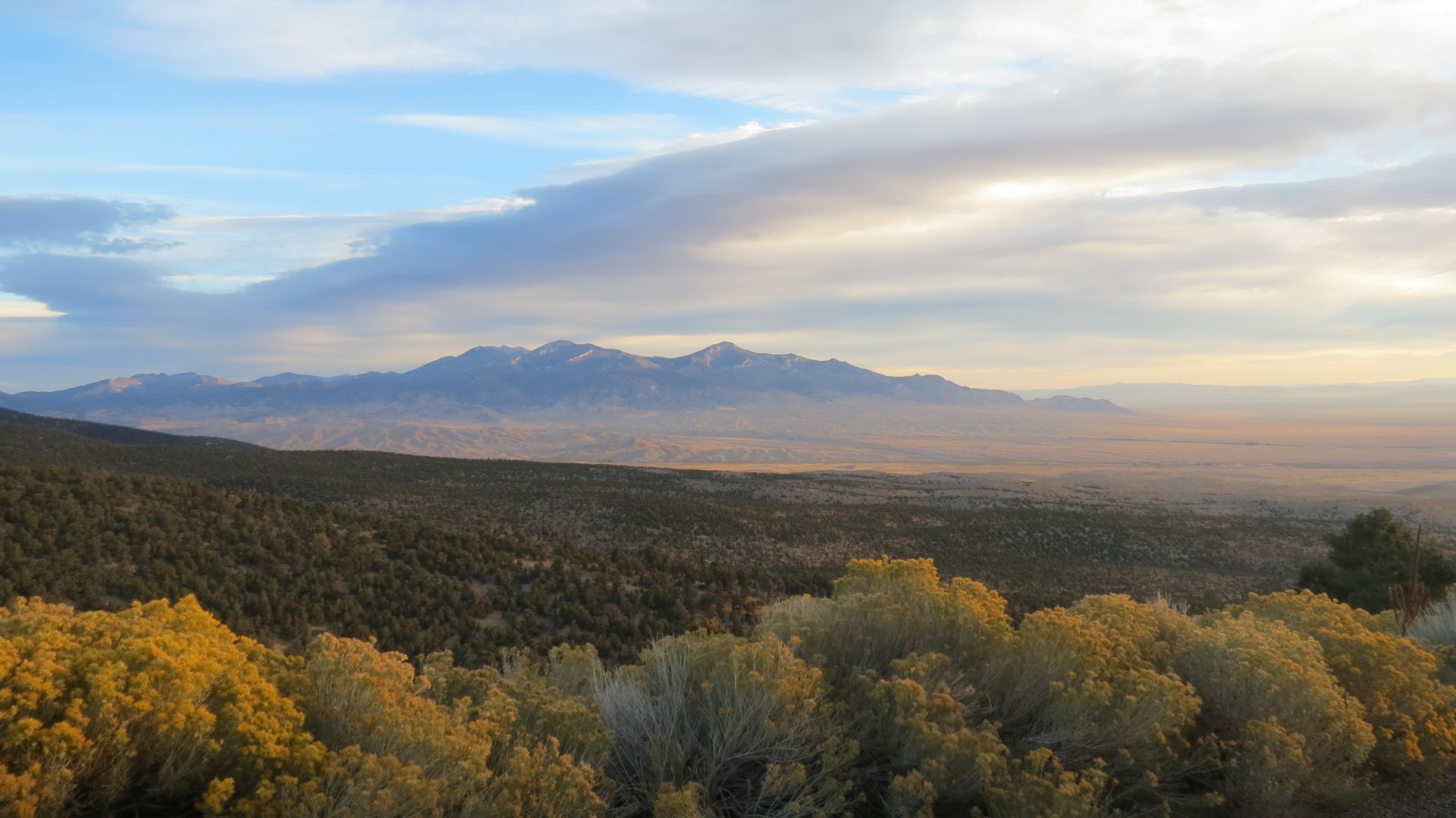 Scenery within Great Basin National Park in Nevada 75 of 92 (#0565)
