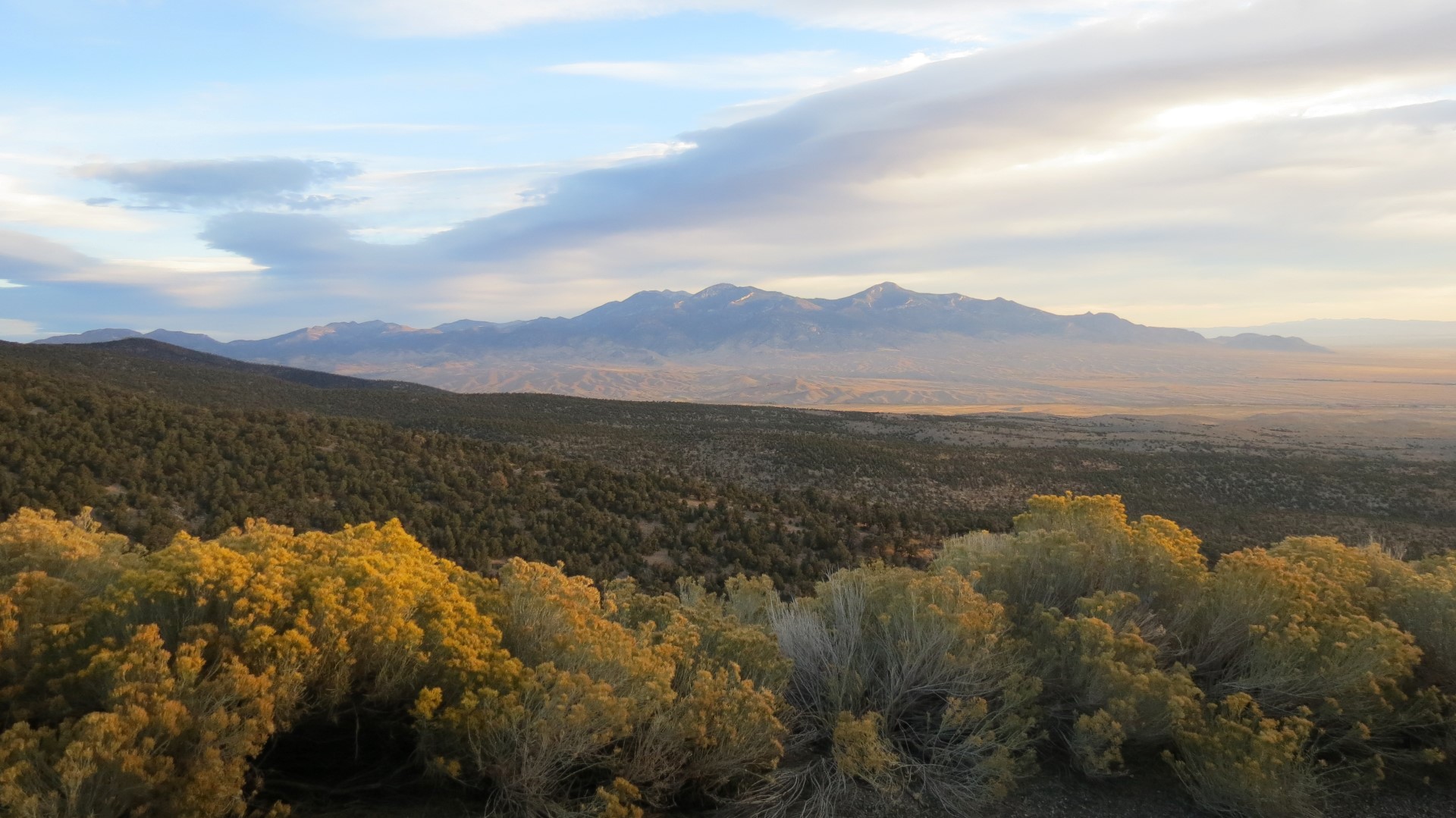 Scenery within Great Basin National Park in Nevada 76 of 92 (#0566)
