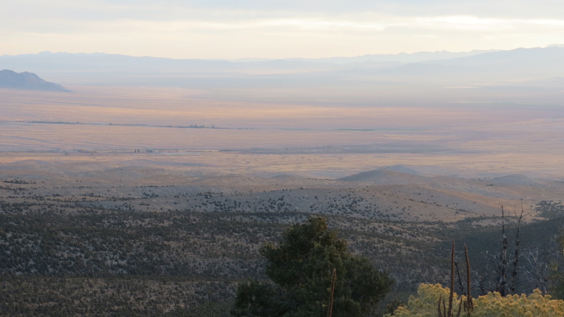 Scenery within Great Basin National Park in Nevada 78 of 92 (#0568)