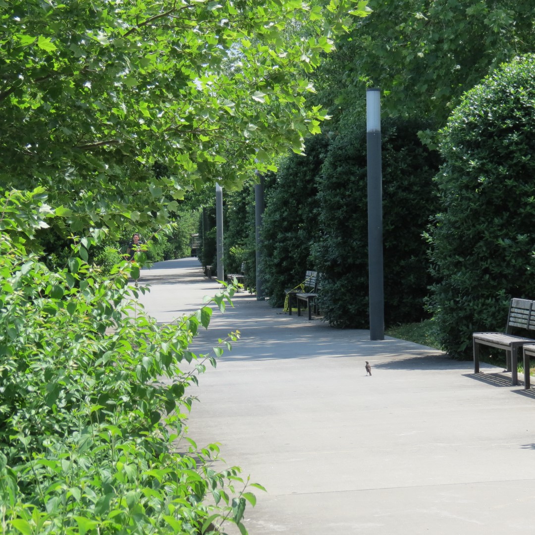 Tennessee River in Chattanooga  8 of  9 (#9015)