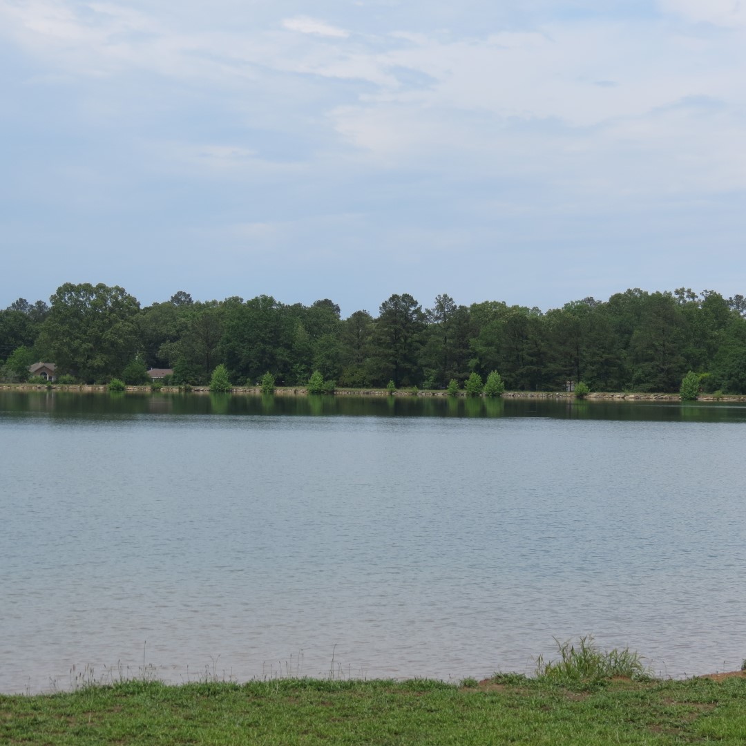 Lake Conasauga  3 of  4 (#9071)