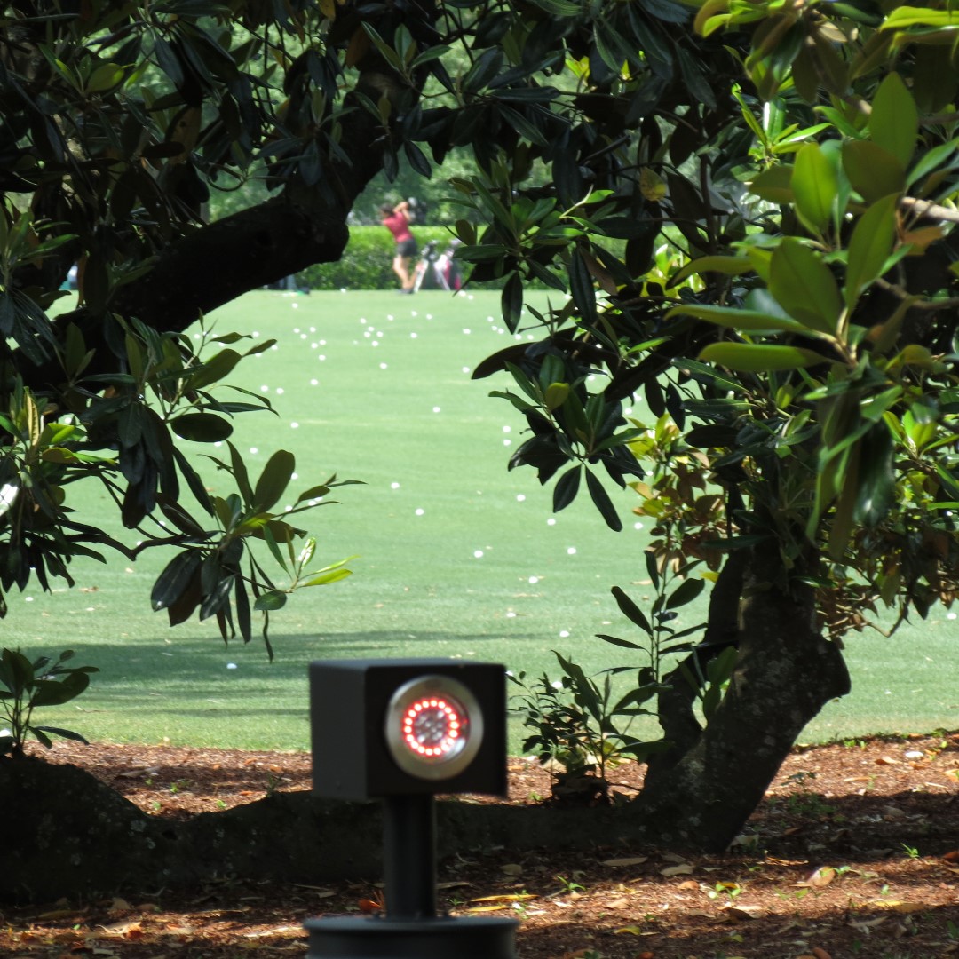 Augusta National Golf Course (sort of)  5 of  5 (#9159)