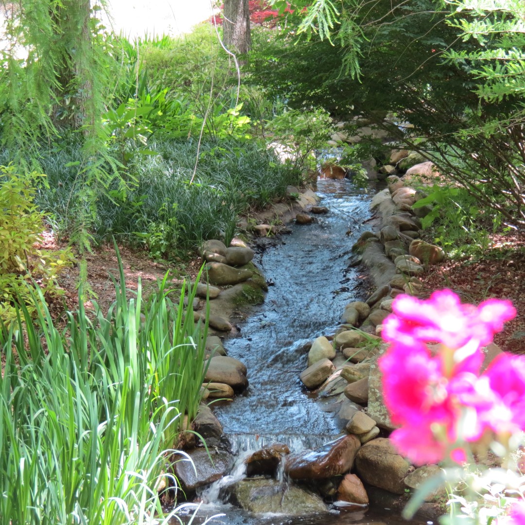 Georgia State Botanical Gardens near Athens  2 of 69 (#9161)