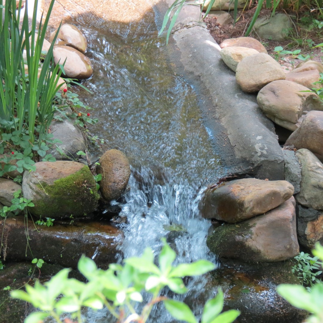 Georgia State Botanical Gardens near Athens  4 of 69 (#9163)