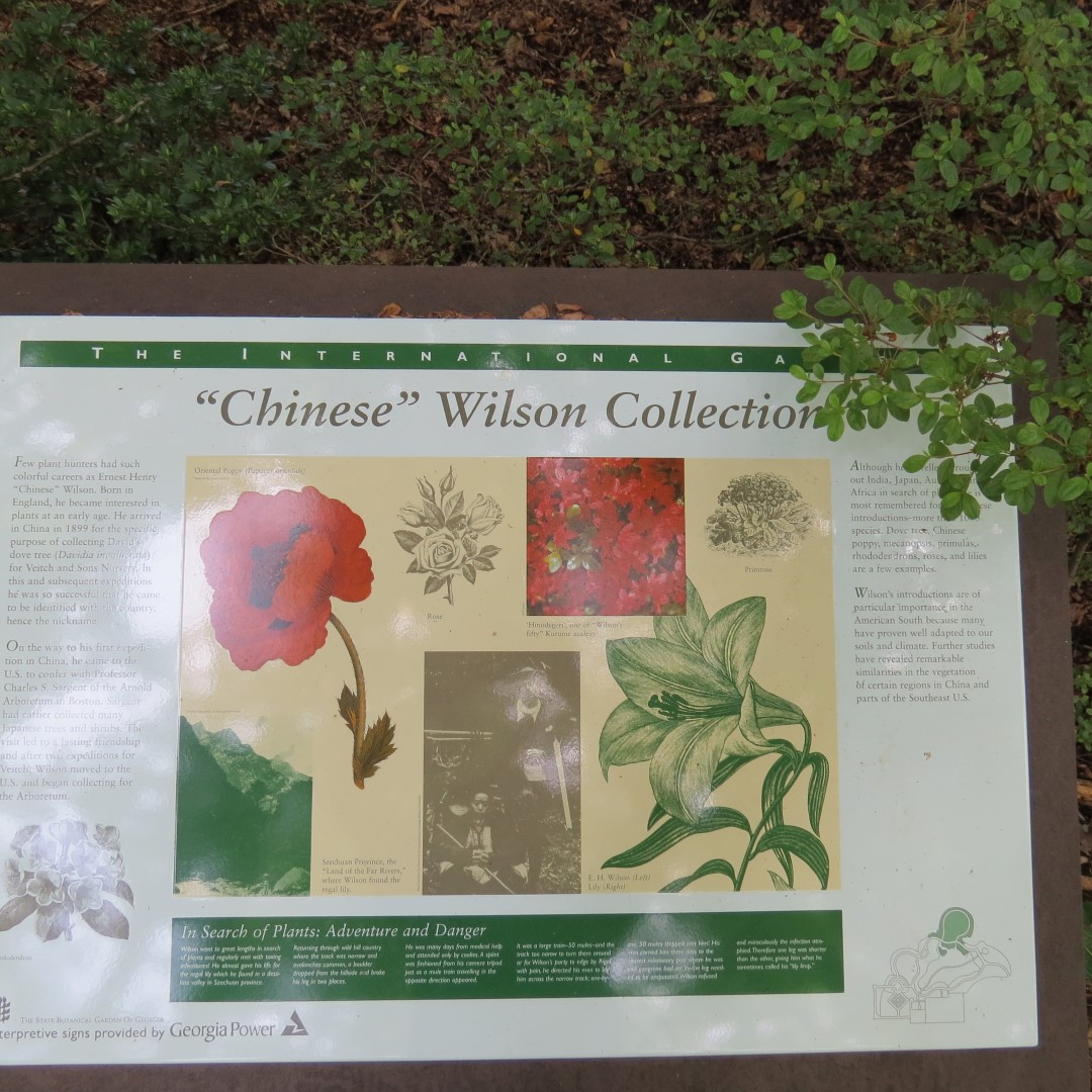 Georgia State Botanical Gardens near Athens 15 of 69 (#9174)