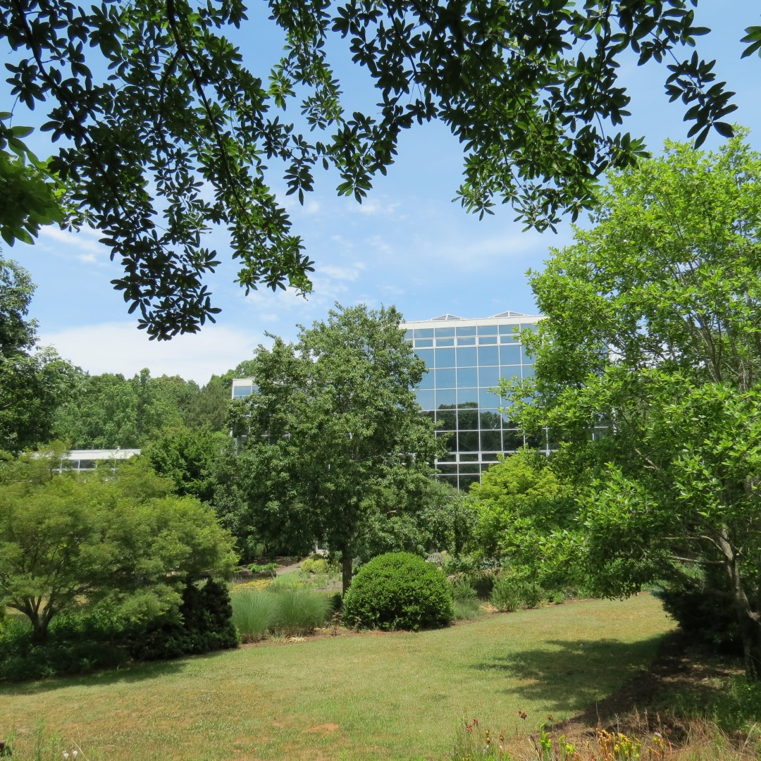 Georgia State Botanical Gardens near Athens 21 of 69 (#9180)
