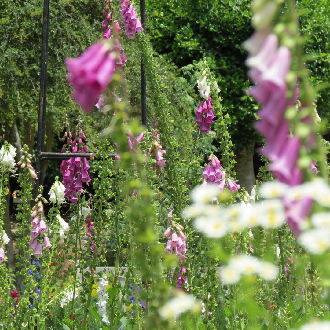 Georgia State Botanical Gardens near Athens 31 of 69 (#9190)