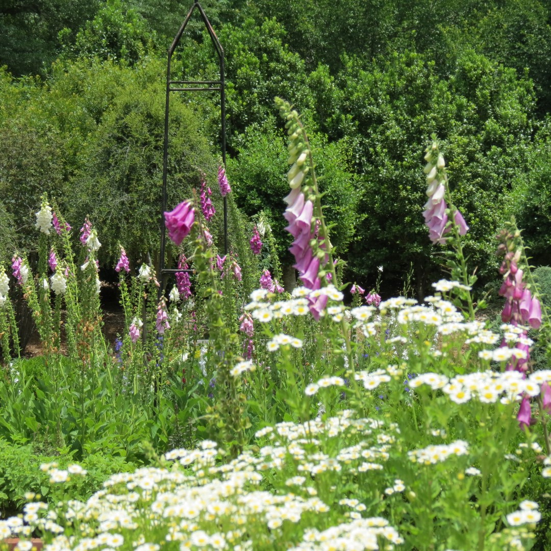 Georgia State Botanical Gardens near Athens 32 of 69 (#9191)
