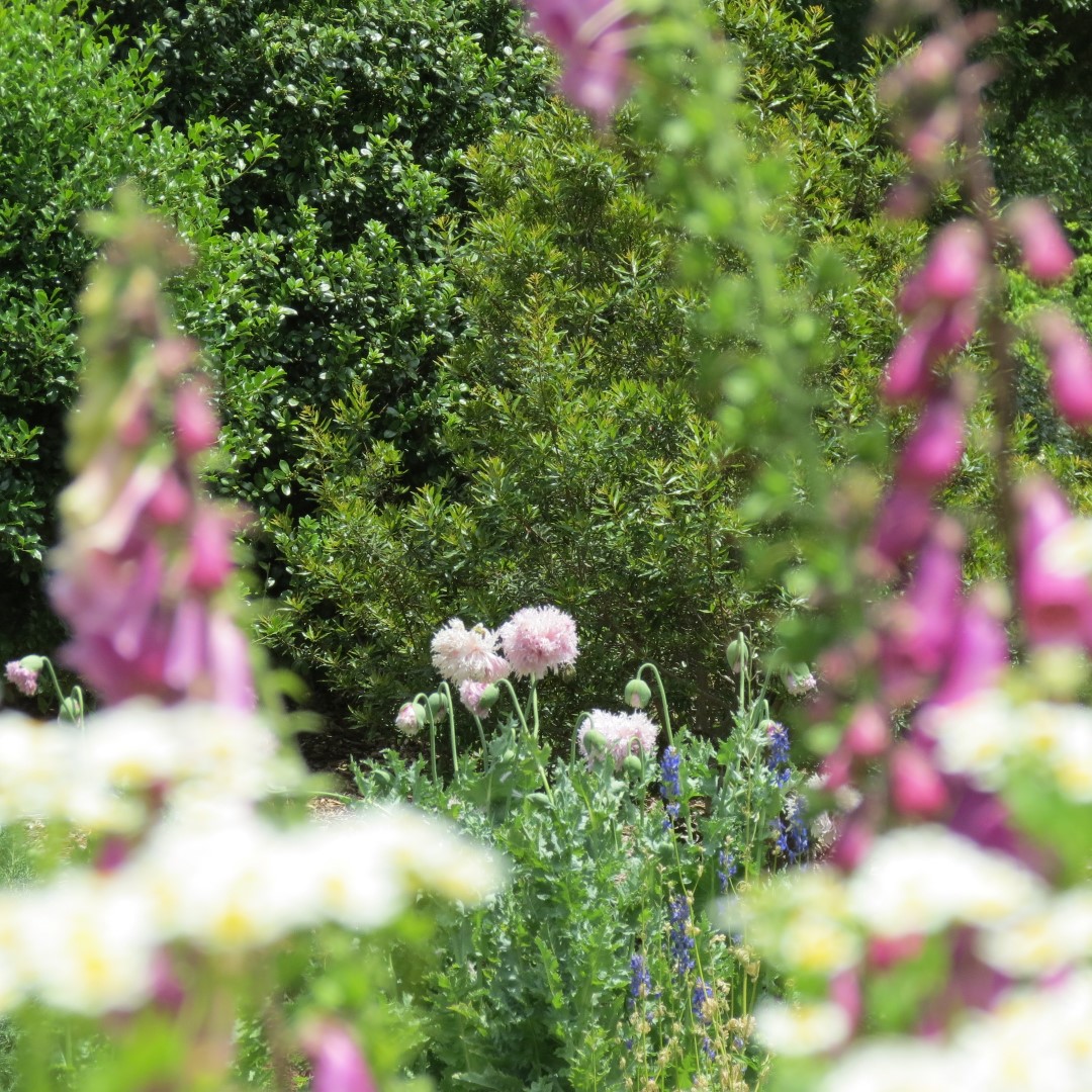 Georgia State Botanical Gardens near Athens 34 of 69 (#9193)