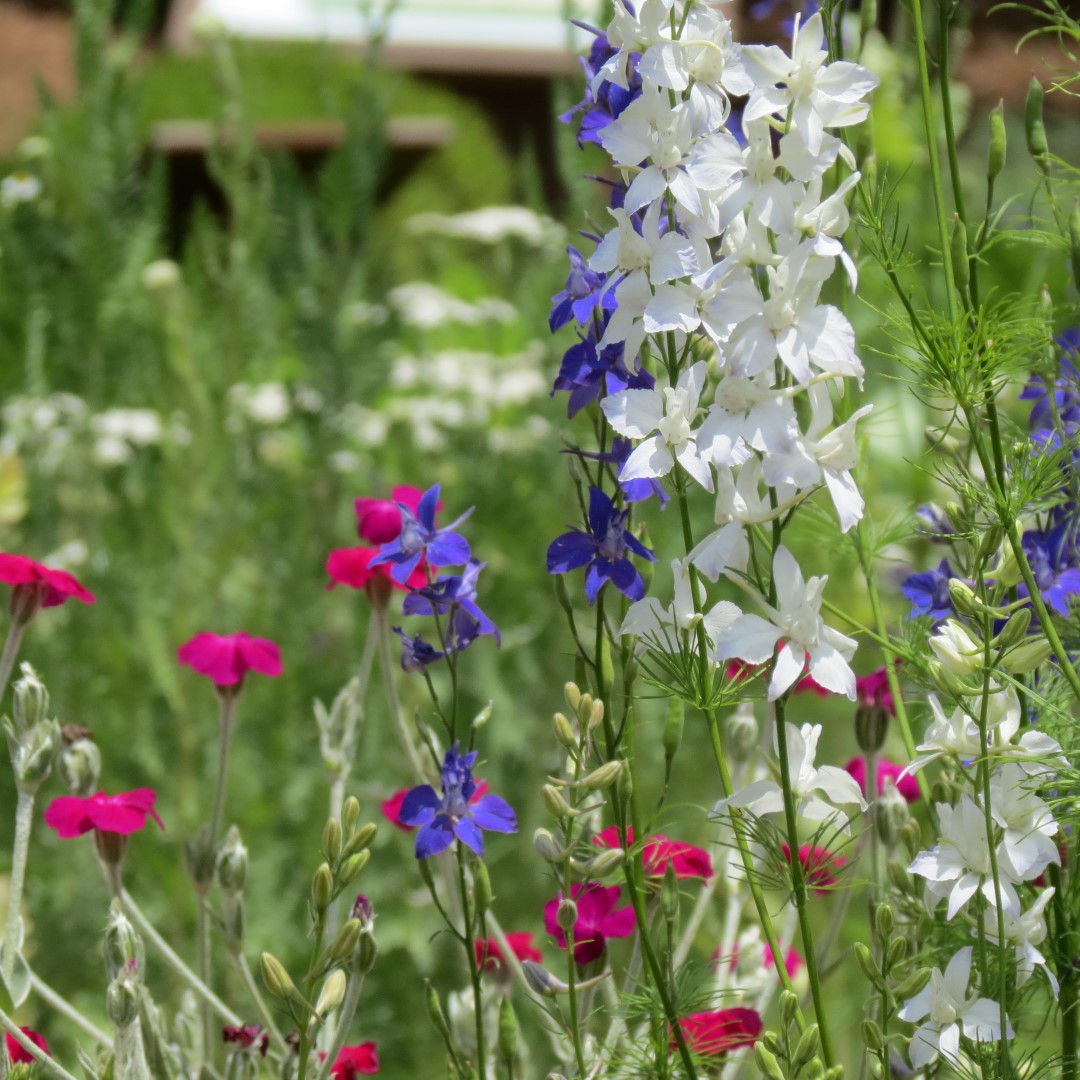 Georgia State Botanical Gardens near Athens 35 of 69 (#9194)