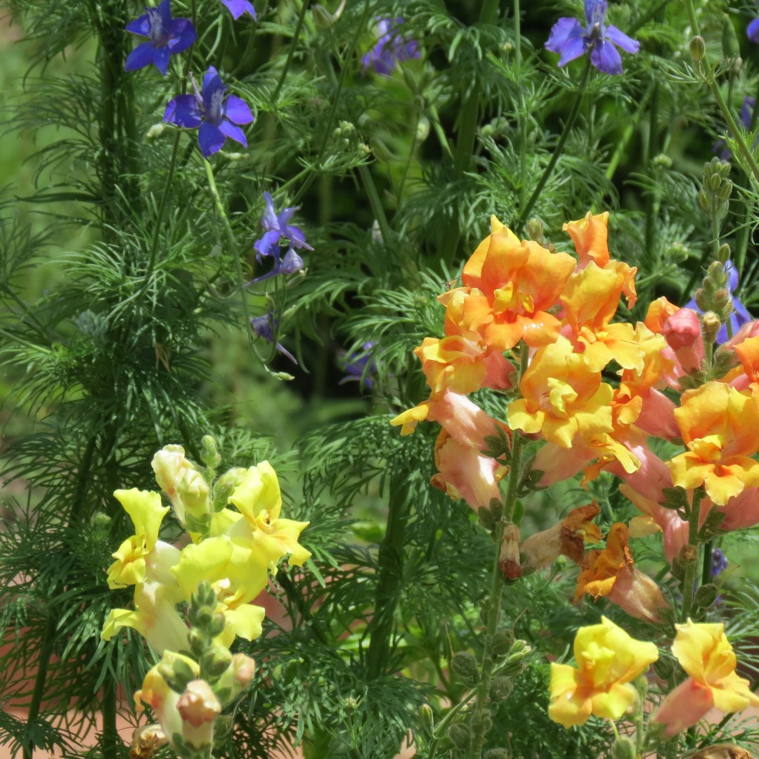 Georgia State Botanical Gardens near Athens 37 of 69 (#9196)