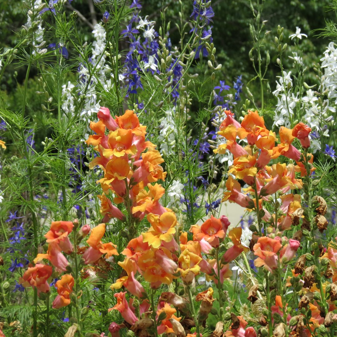 Georgia State Botanical Gardens near Athens 40 of 69 (#9199)