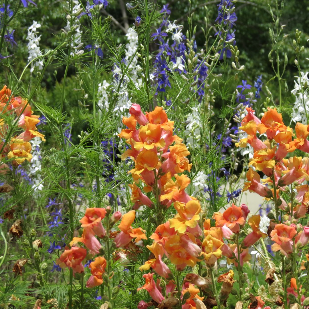 Georgia State Botanical Gardens near Athens 41 of 69 (#9200)