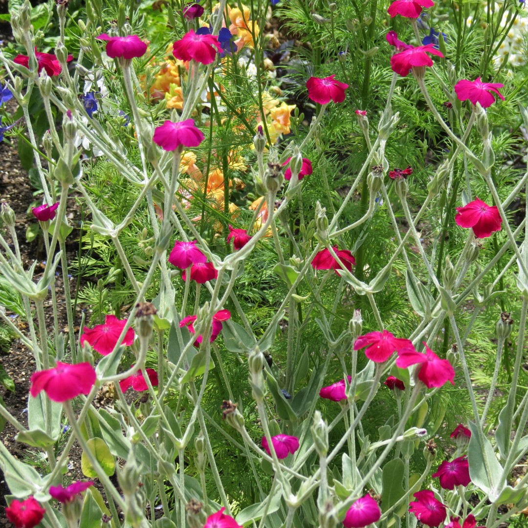 Georgia State Botanical Gardens near Athens 43 of 69 (#9202)