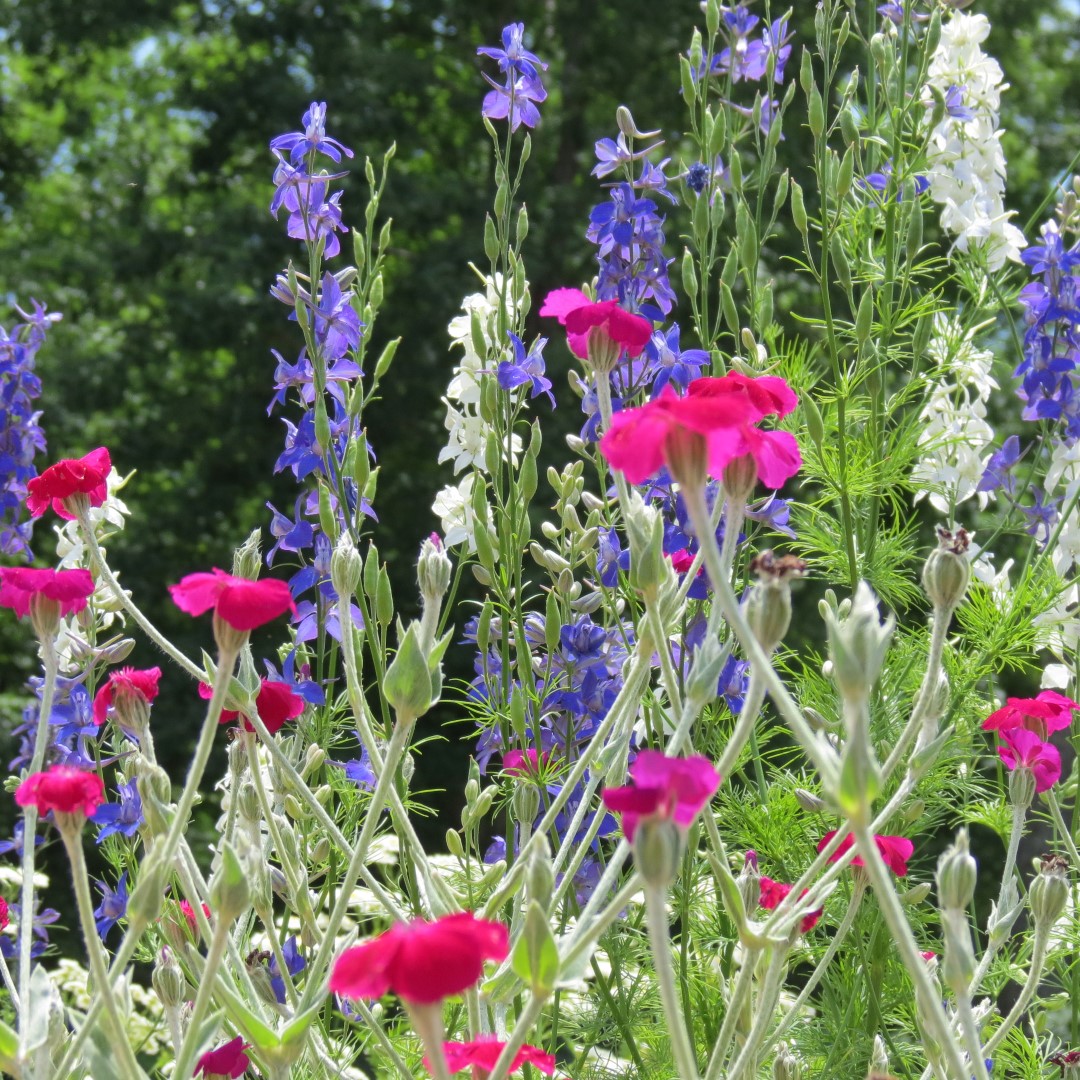 Georgia State Botanical Gardens near Athens 44 of 69 (#9203)