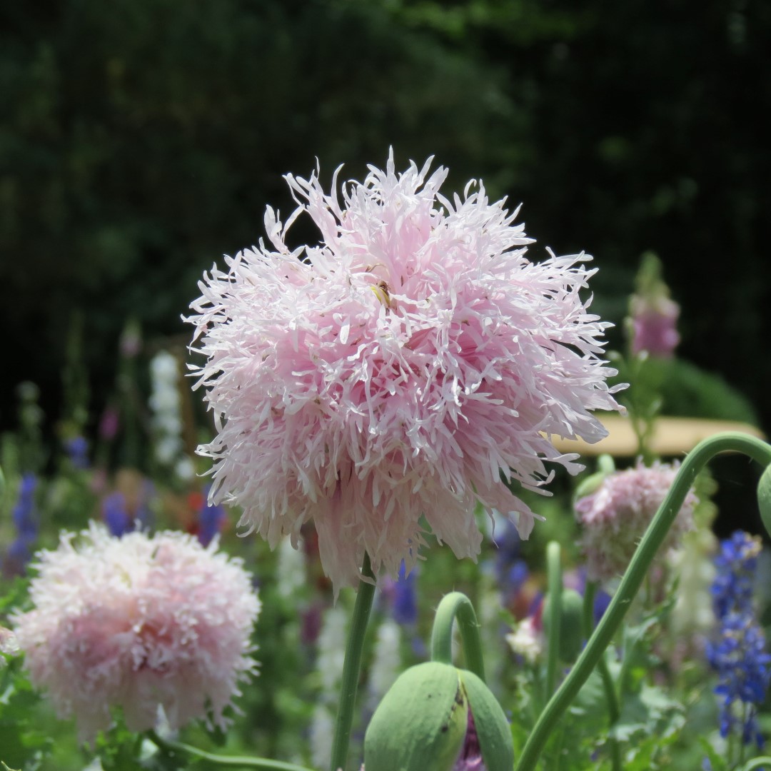 Georgia State Botanical Gardens near Athens 48 of 69 (#9207)