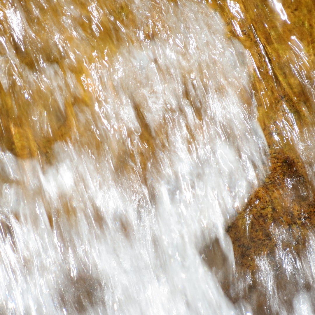 Georgia State Botanical Gardens near Athens 62 of 69 (#9221)