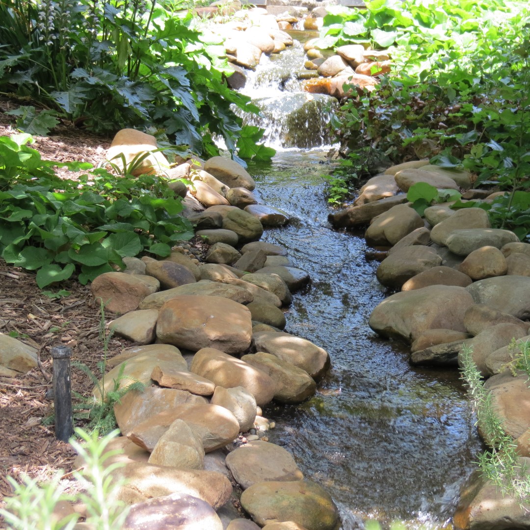 Georgia State Botanical Gardens near Athens 64 of 69 (#9223)