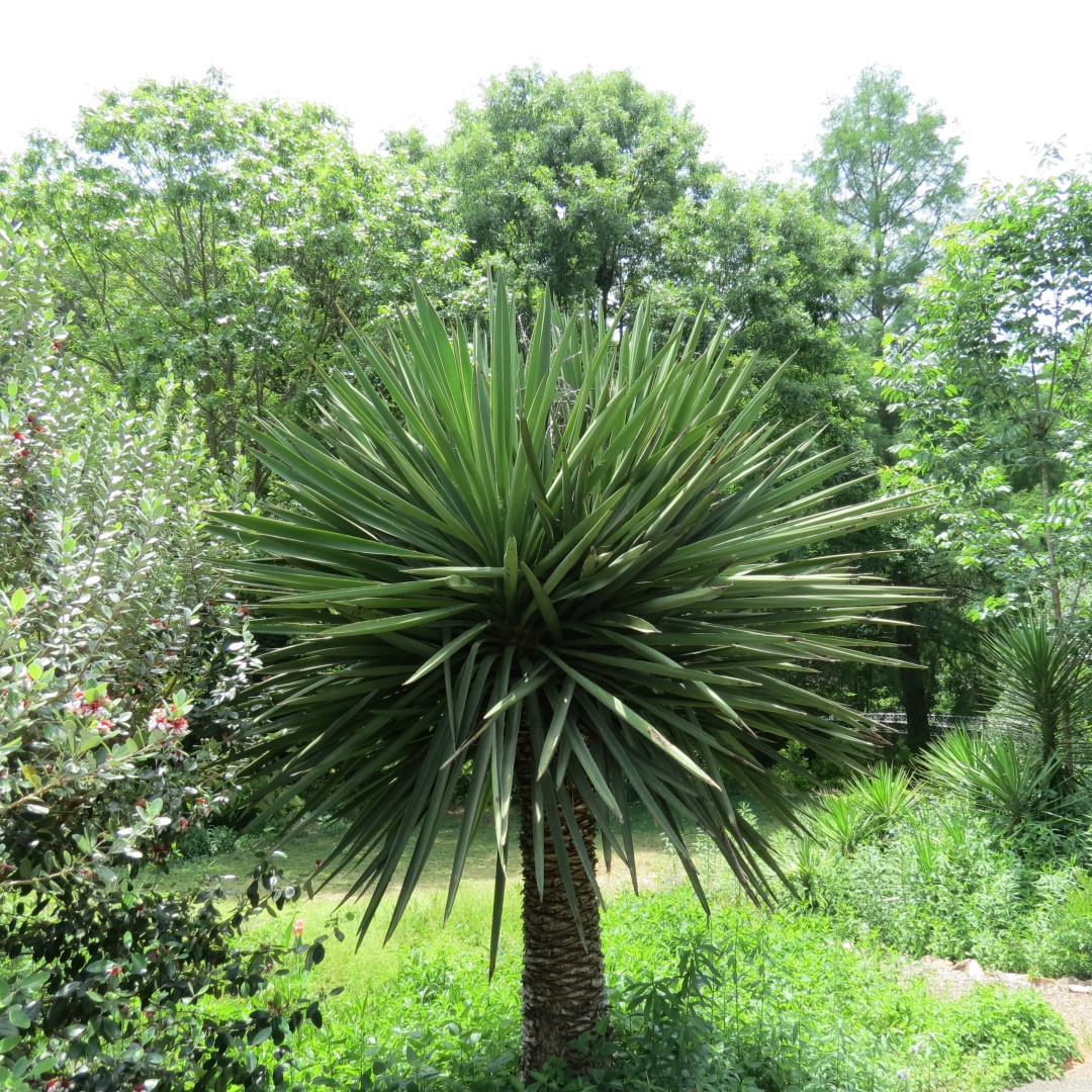 Georgia State Botanical Gardens near Athens 67 of 69 (#9226)