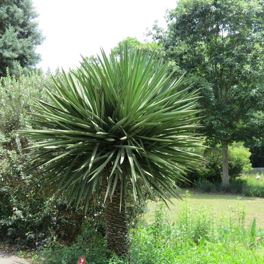 Georgia State Botanical Gardens near Athens 69 of 69 (#9228)