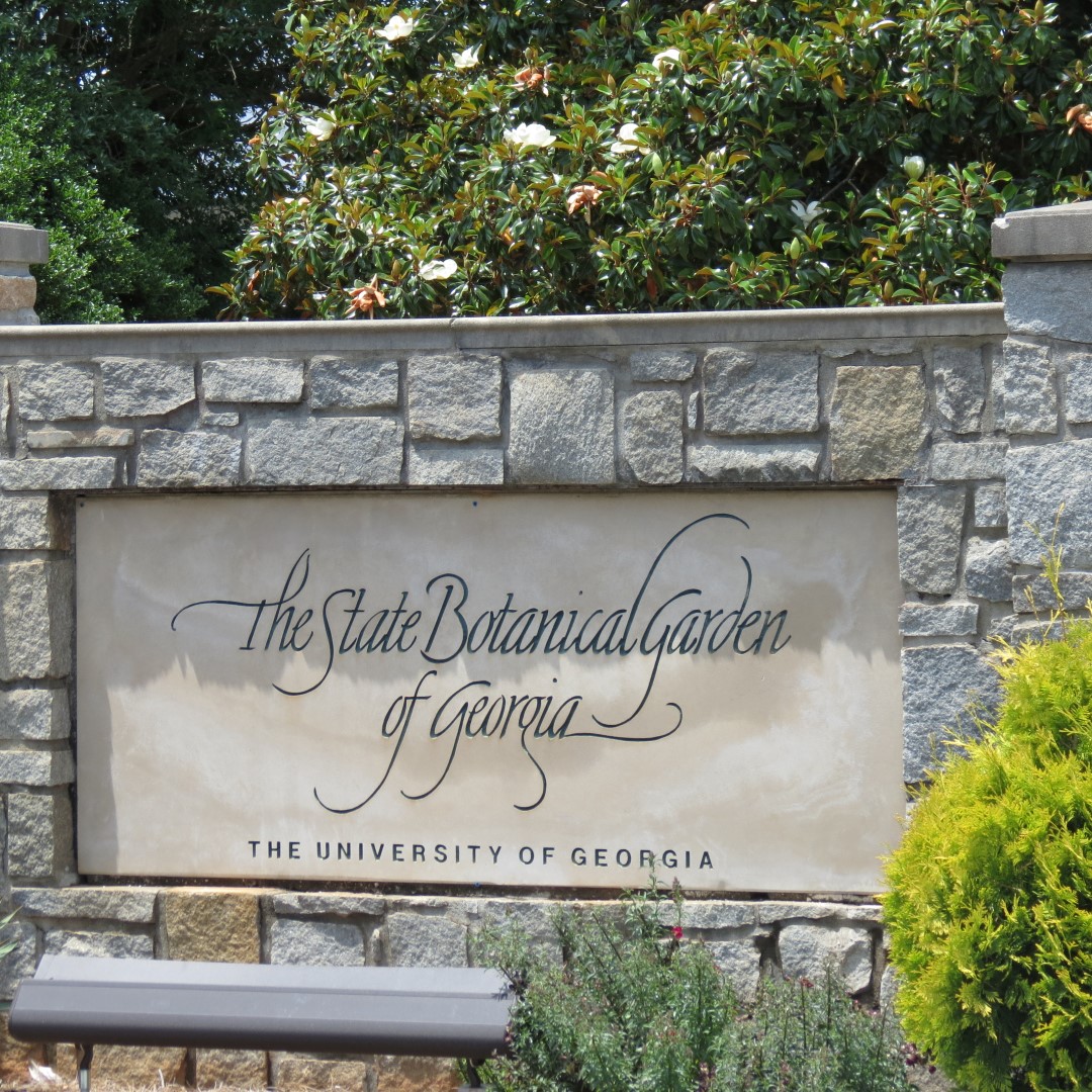 Georgia State Botanical Gardens near Athens  1 of 69 (#9229)