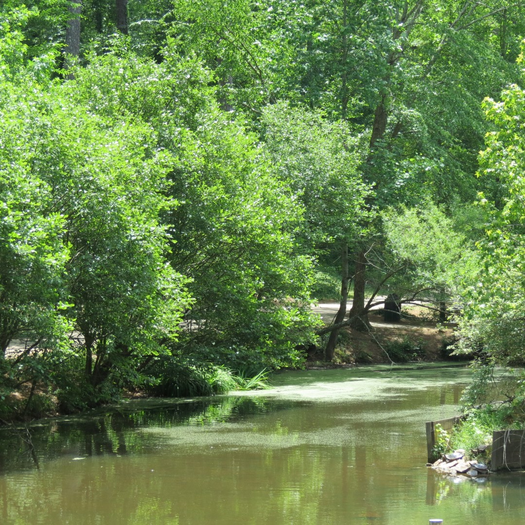 Memorial Park in Athens  2 of 15 (#9232)