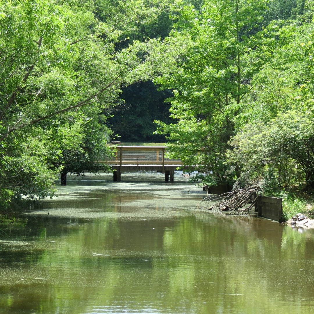 Memorial Park in Athens  4 of 15 (#9234)