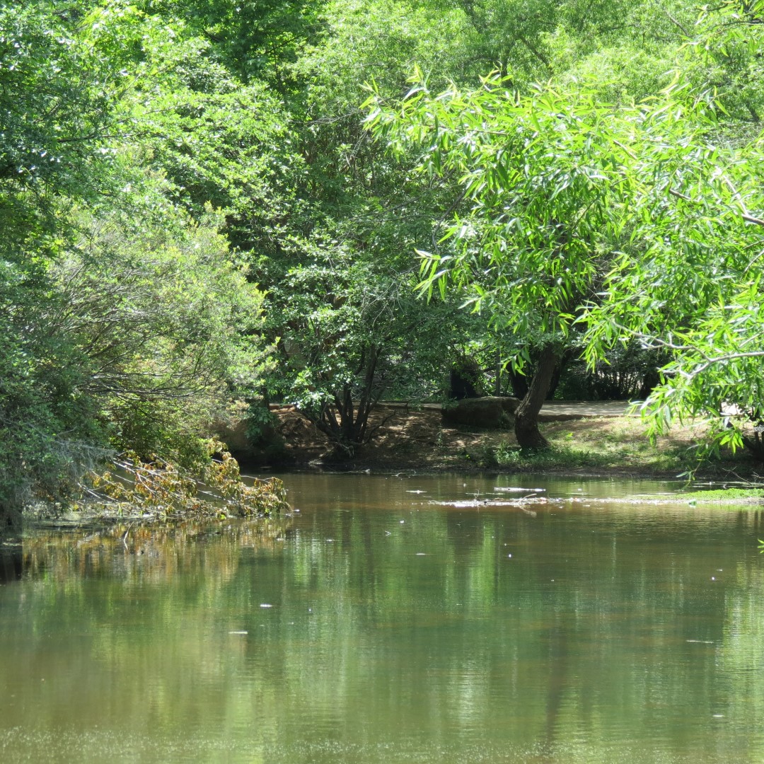 Memorial Park in Athens  6 of 15 (#9236)