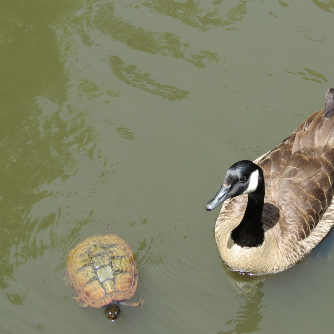 Memorial Park in Athens 15 of 15 (#9256)