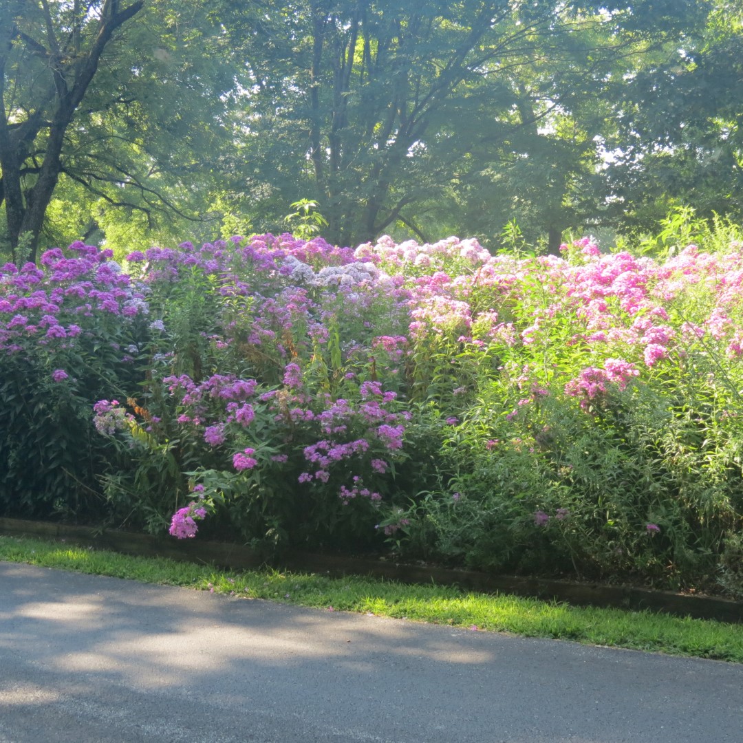 George Washington Carver National Memorial south of Diamond MO  2 of 31 (#9441)
