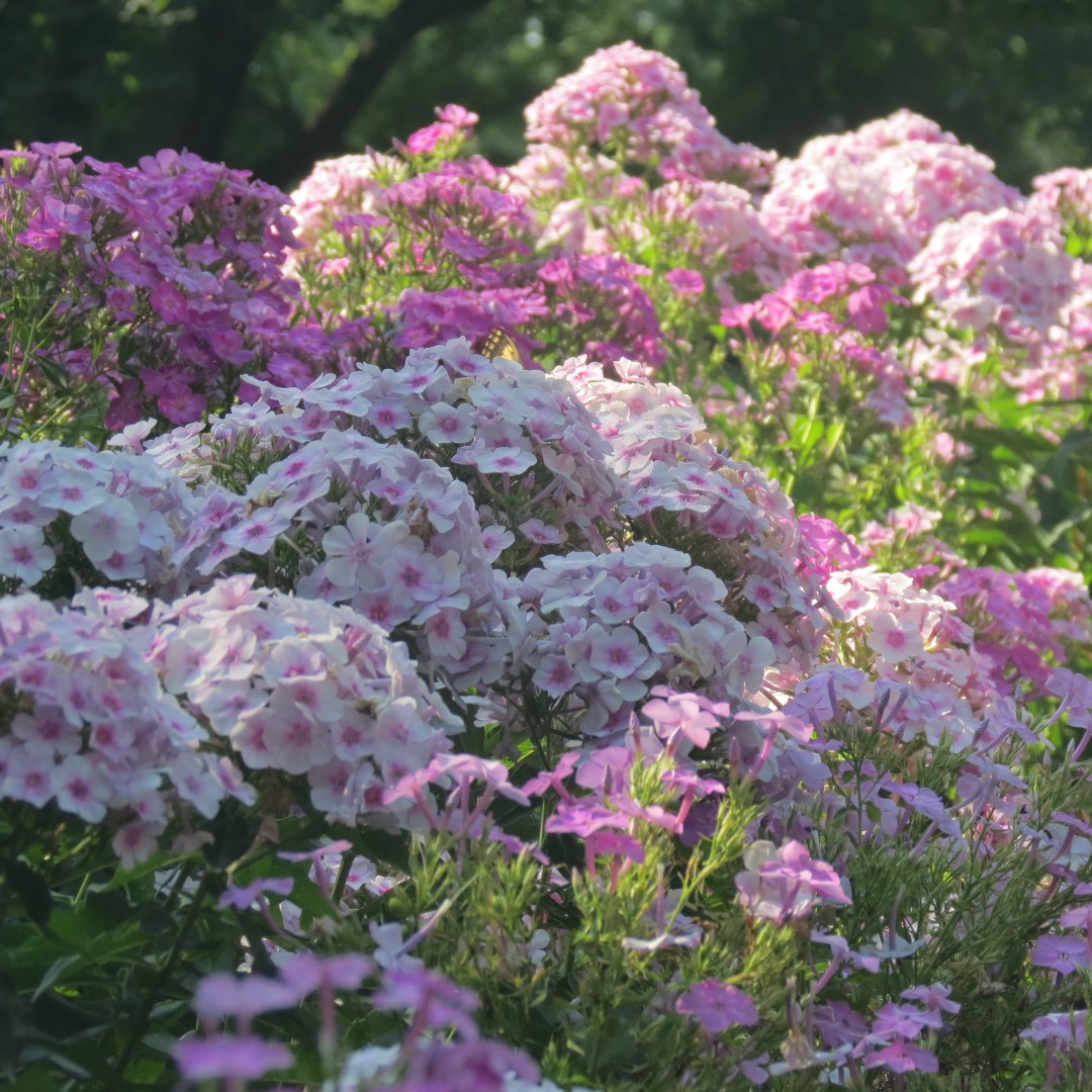 George Washington Carver National Memorial south of Diamond MO  3 of 31 (#9444)