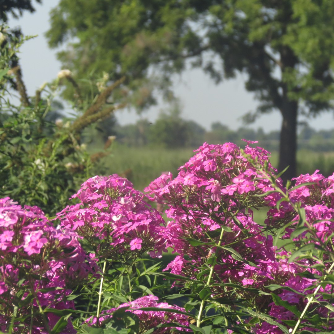George Washington Carver National Memorial south of Diamond MO  5 of 31 (#9446)