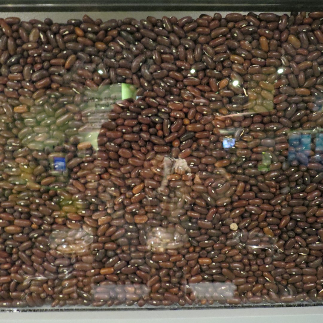 George Washington Carver National Memorial south of Diamond MO 21 of 31 (#9462)