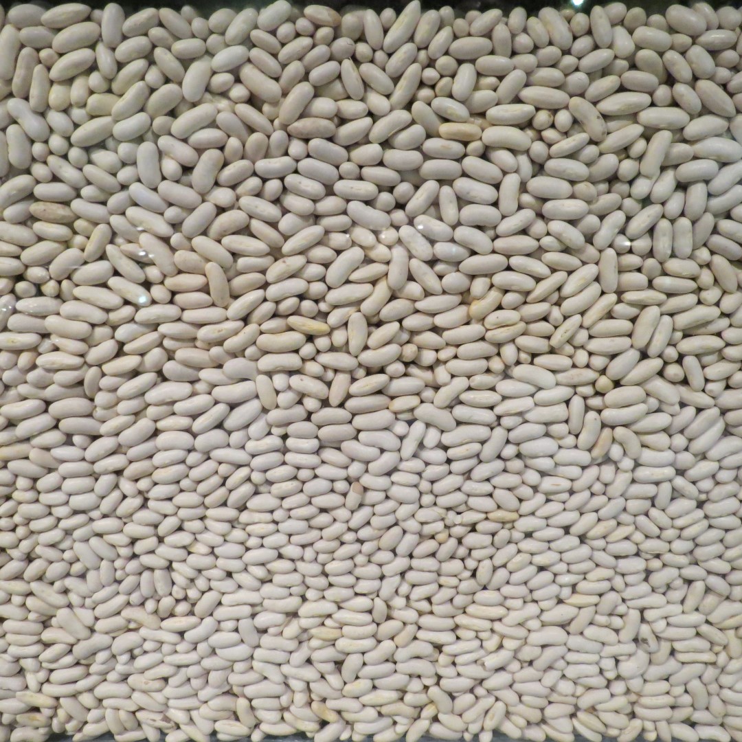 George Washington Carver National Memorial south of Diamond MO 22 of 31 (#9463)