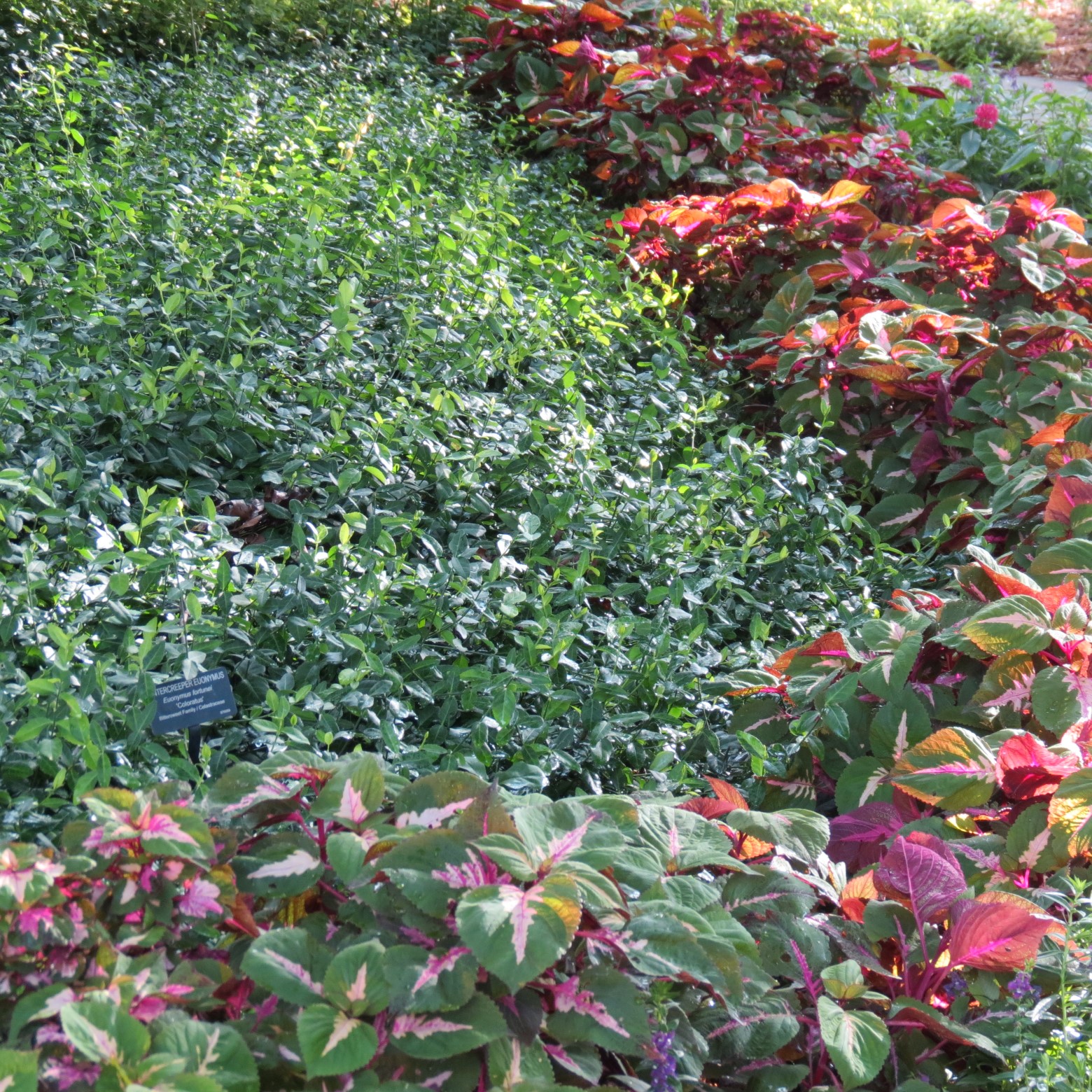 Wichita Botanical Gardens  3 of 98 (#9653)