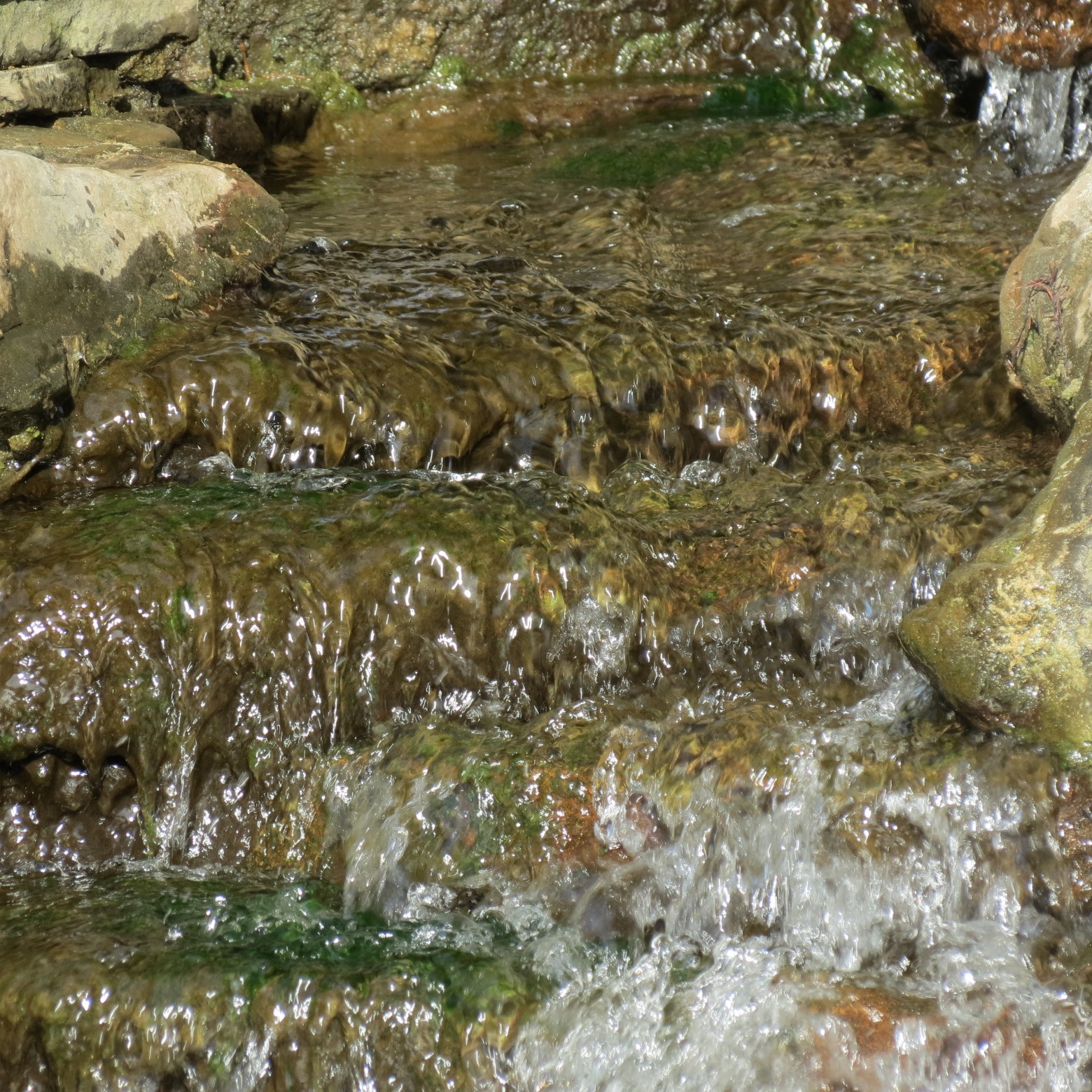 Wichita Botanical Gardens 15 of 98 (#9665)