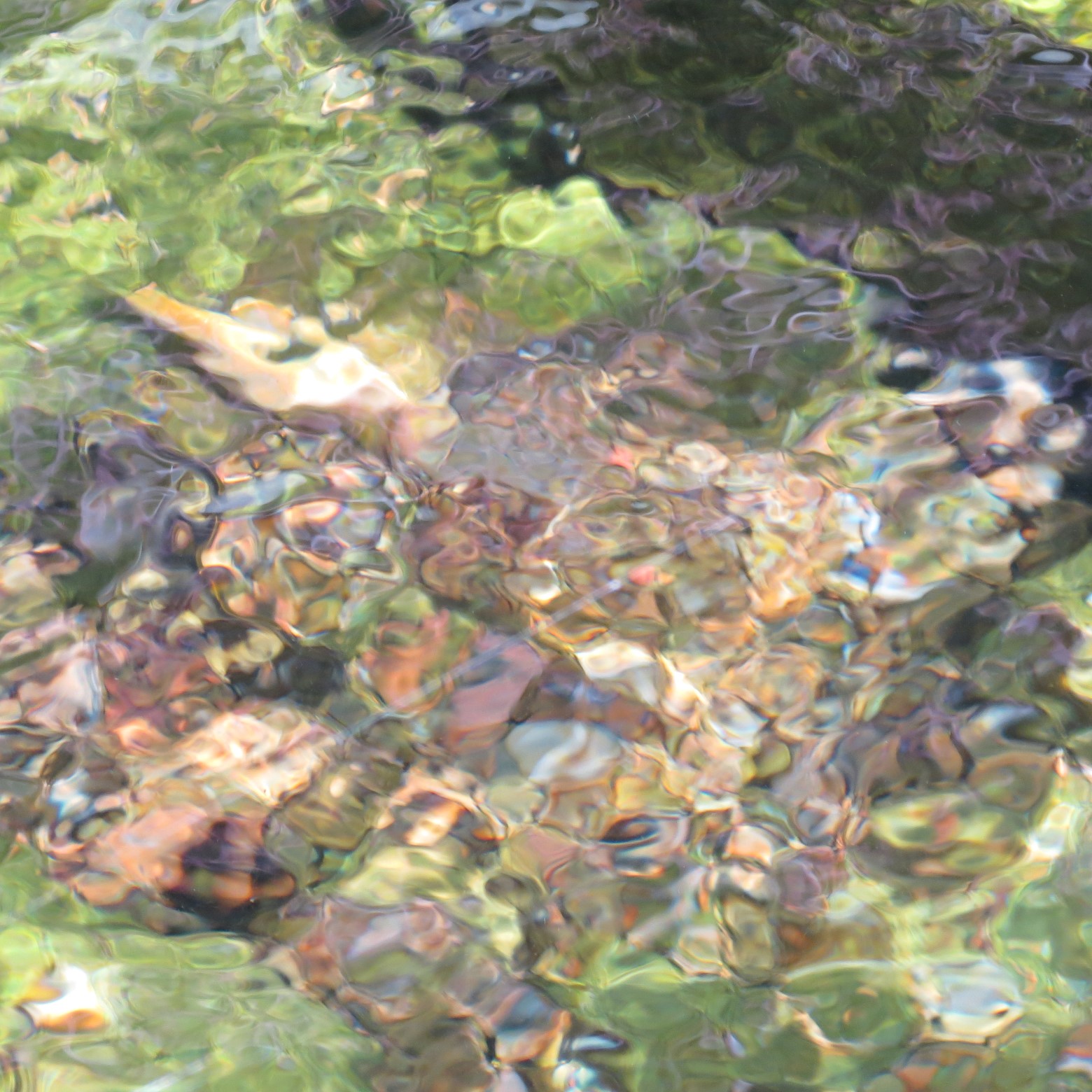 Wichita Botanical Gardens 21 of 98 (#9671)