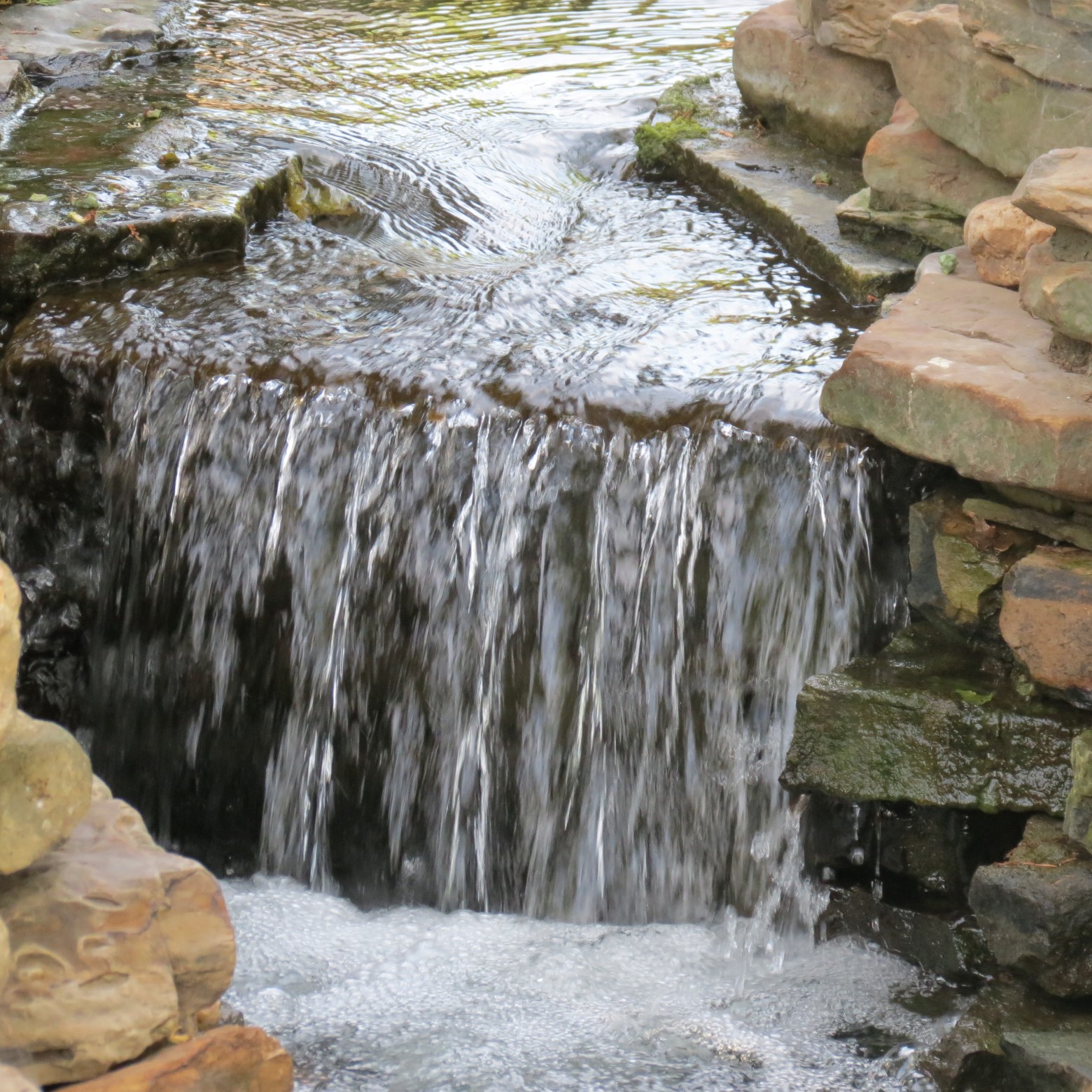 Wichita Botanical Gardens 22 of 98 (#9672)